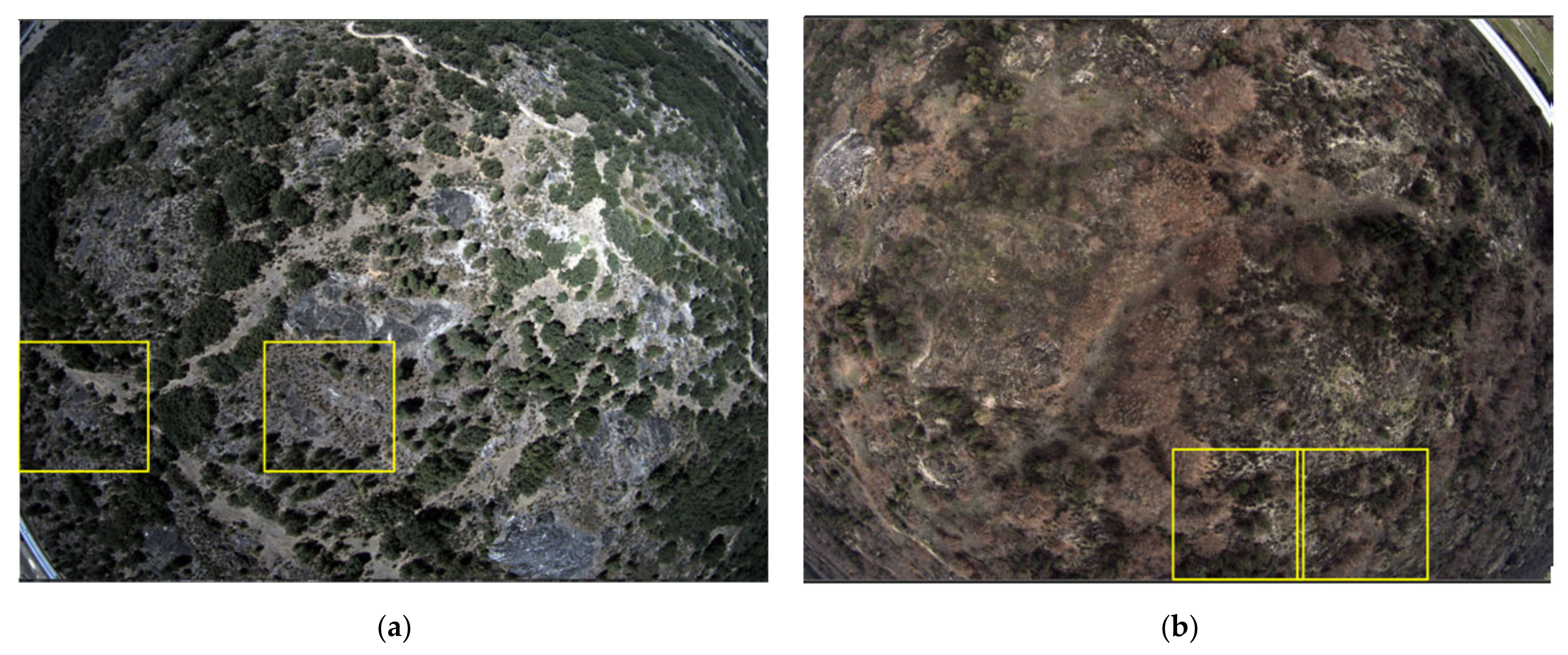 Remotesensing 14 01262 g011