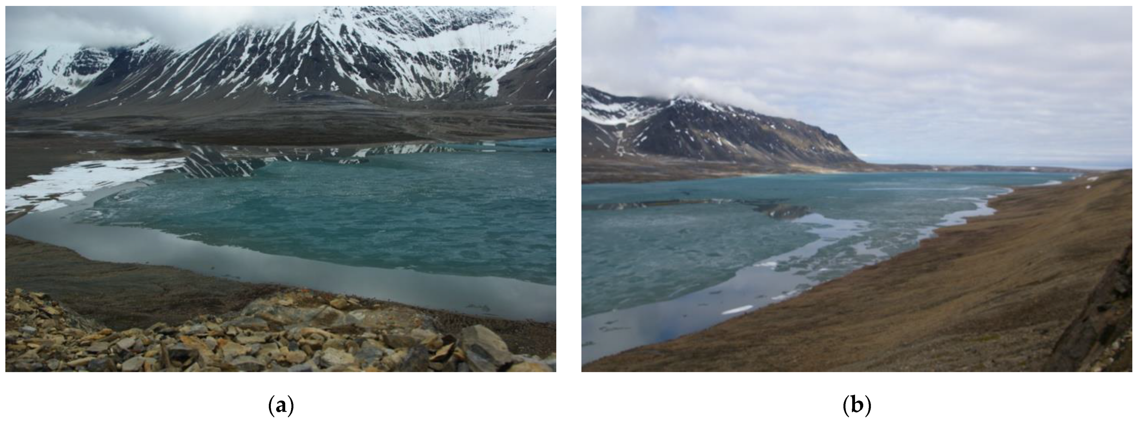 Remotesensing 14 01311 g002