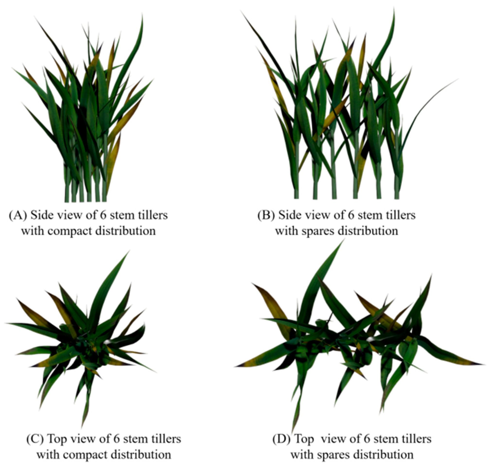 Remotesensing 14 01338 g006