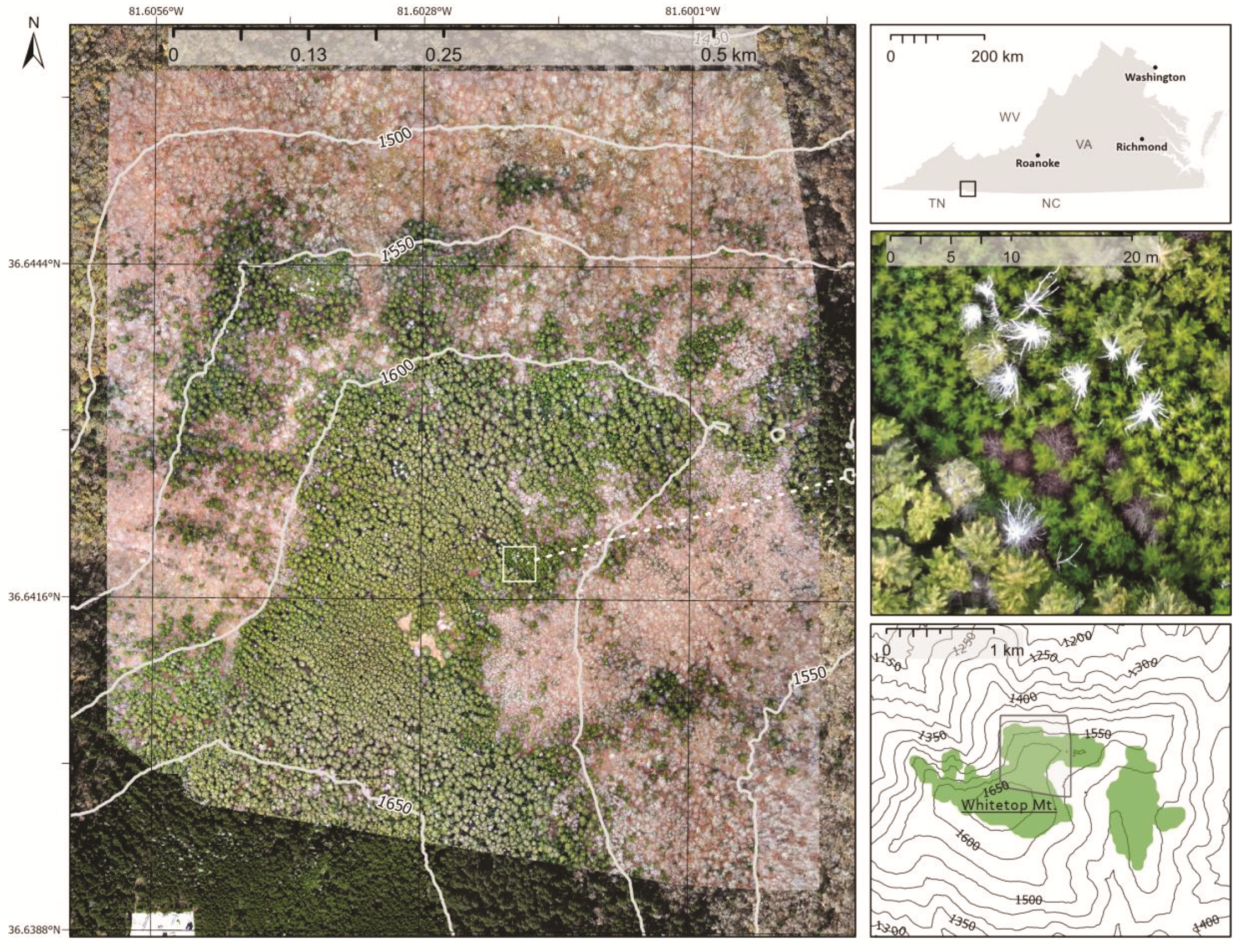 Remotesensing 14 01341 g002