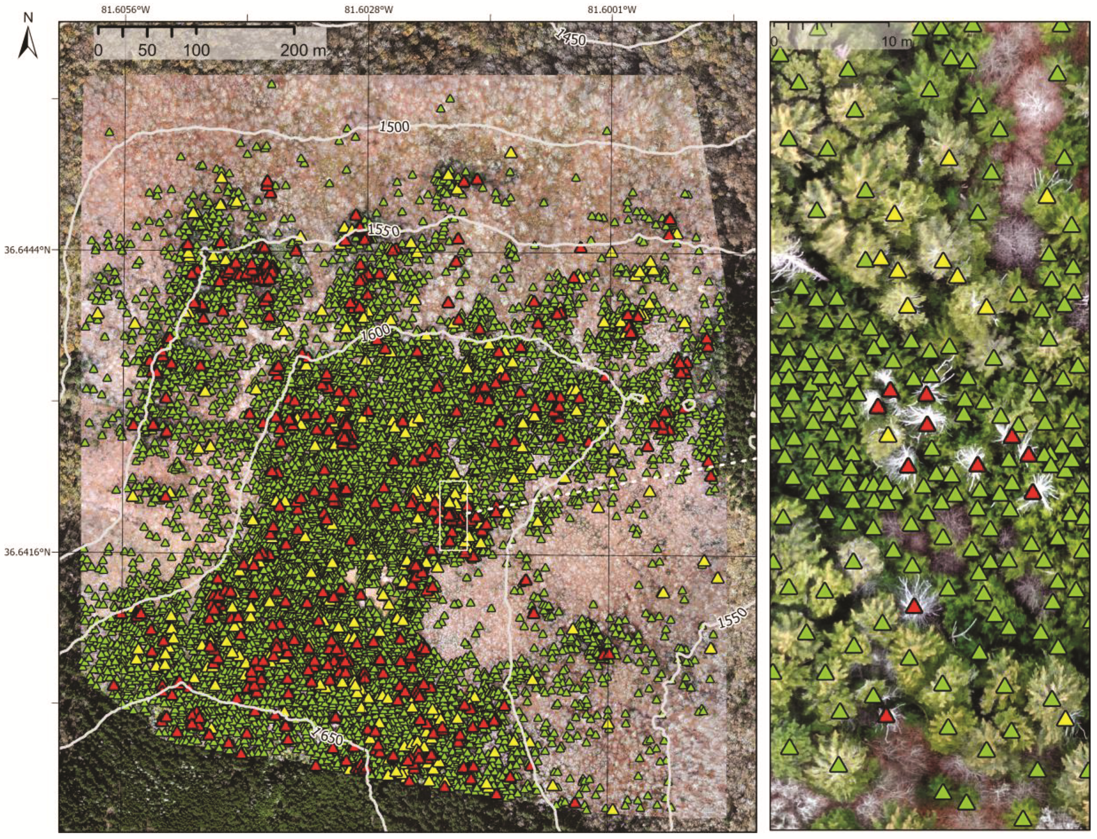 Remotesensing 14 01341 g003