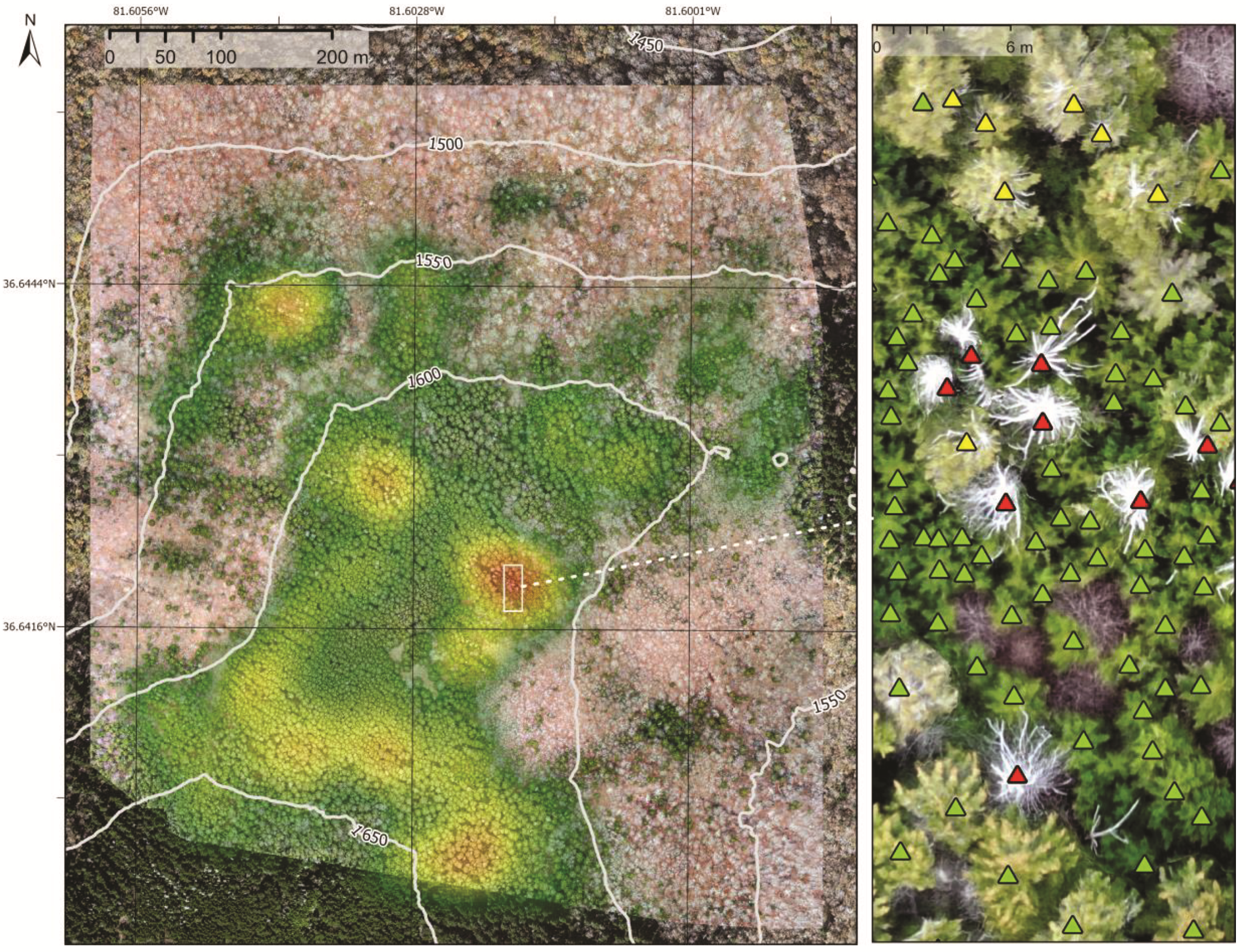 Remotesensing 14 01341 g004