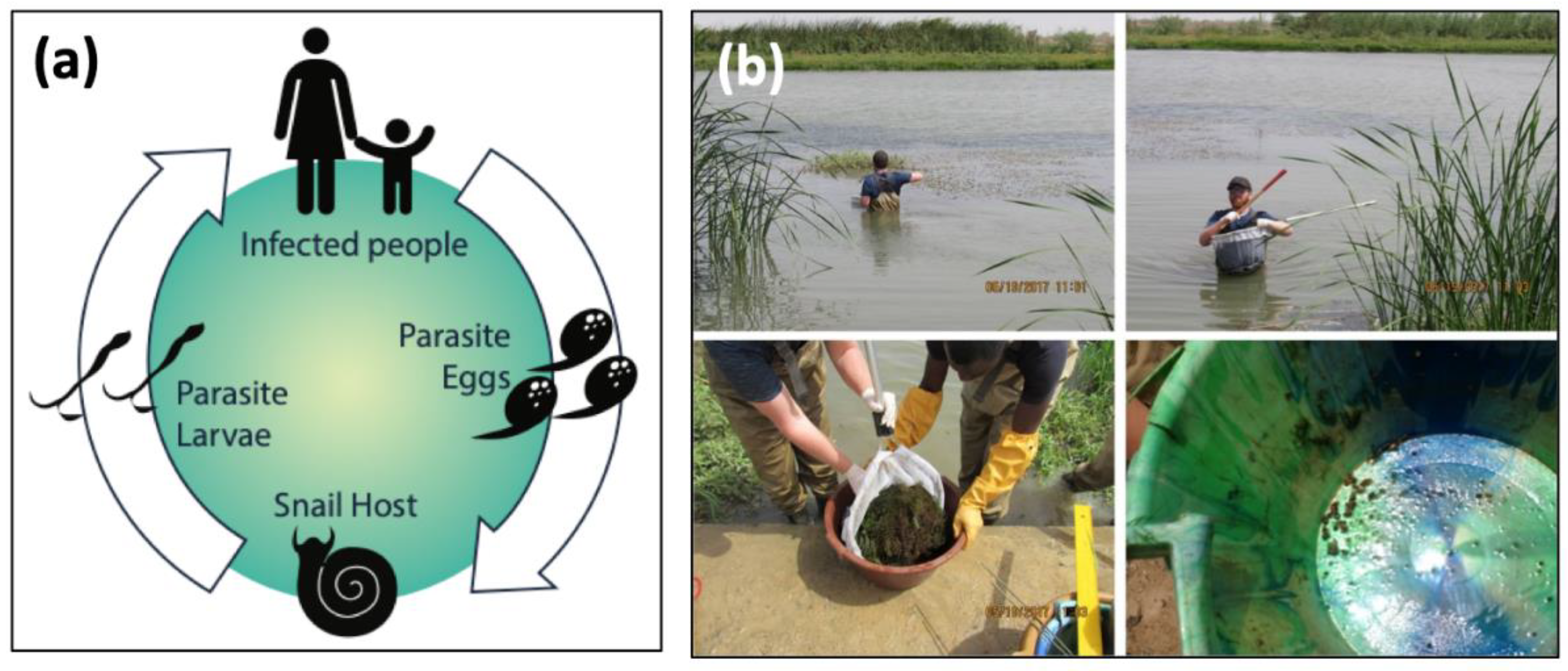 Remotesensing 14 01345 g001