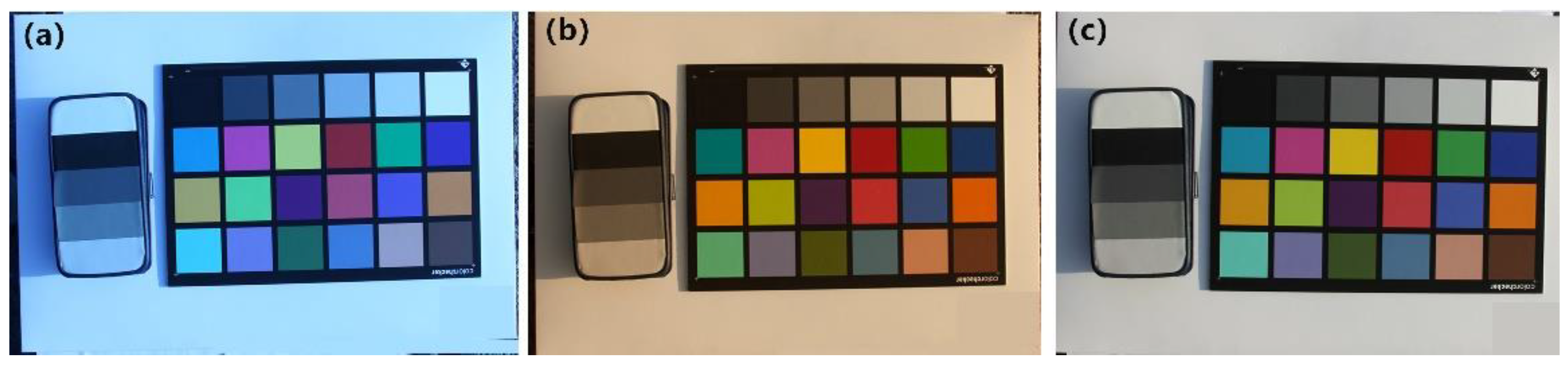 Remotesensing 14 01371 g011