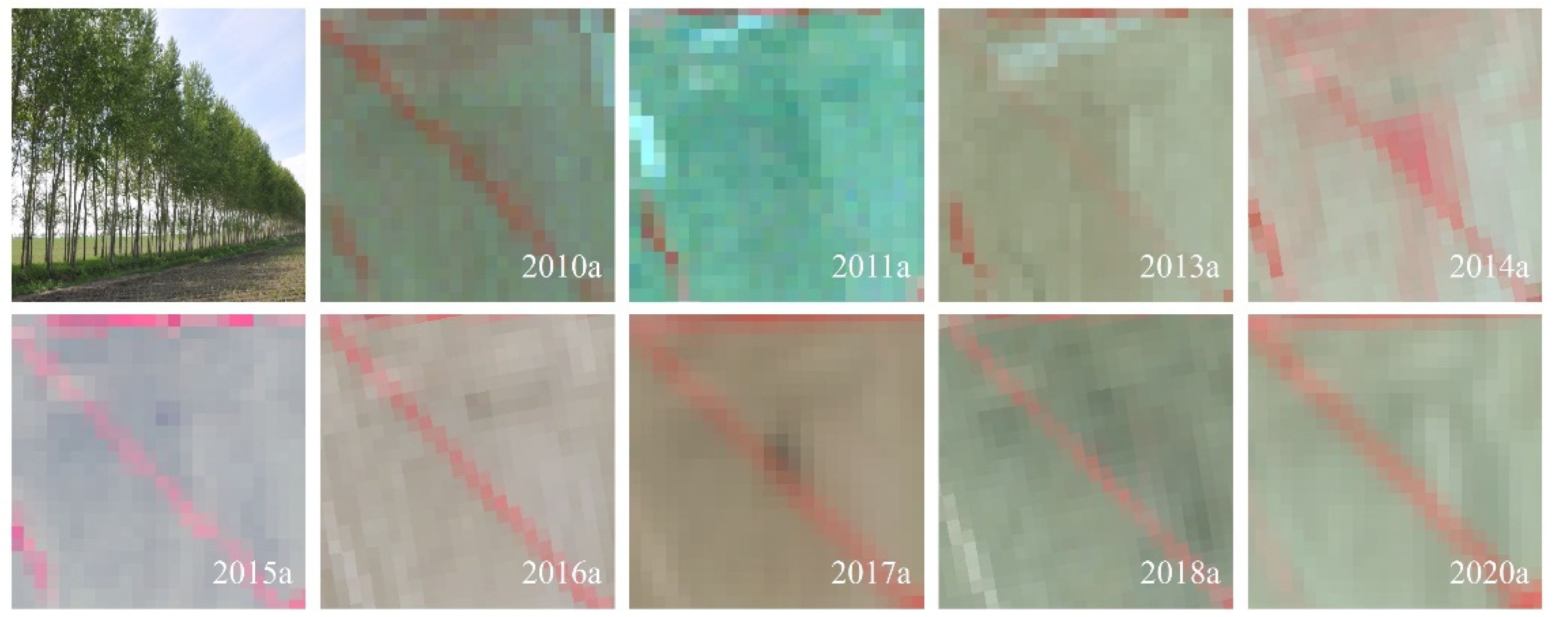 Remotesensing 14 01457 g004