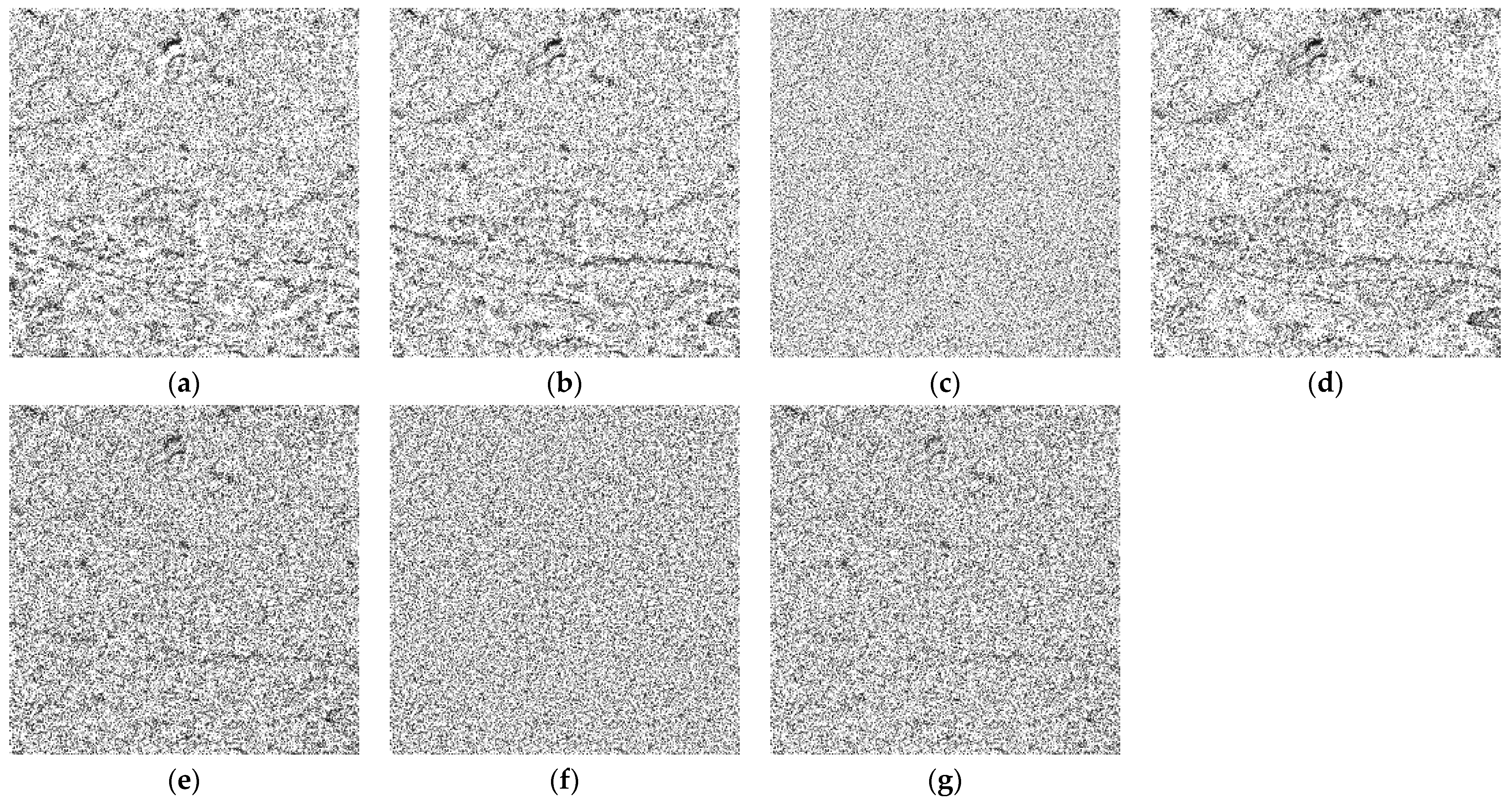 Remotesensing 14 01465 g012