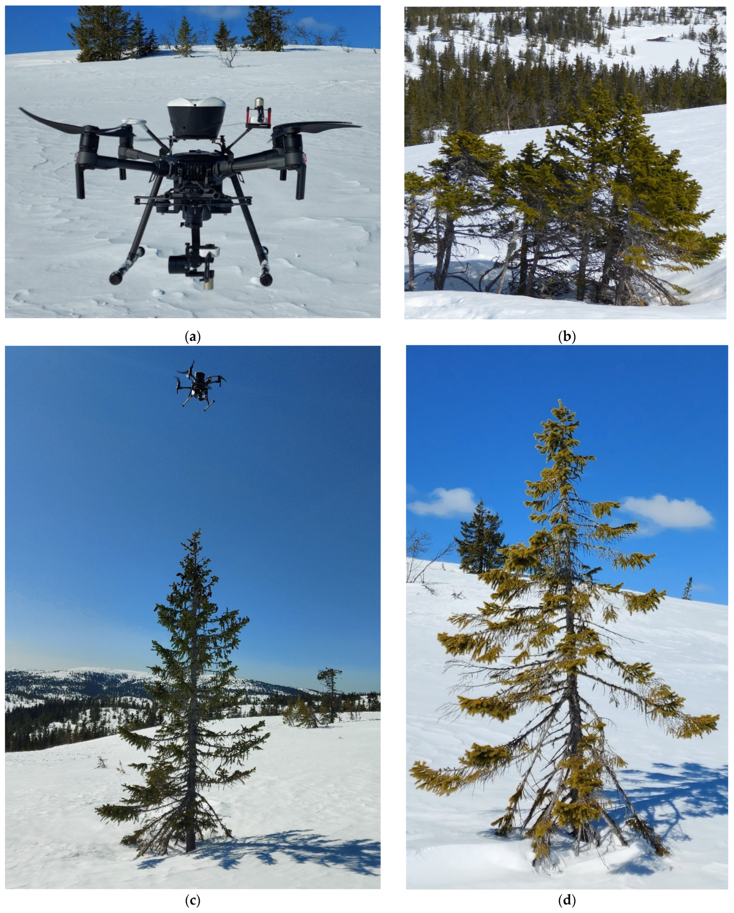 Remotesensing 14 01482 g003