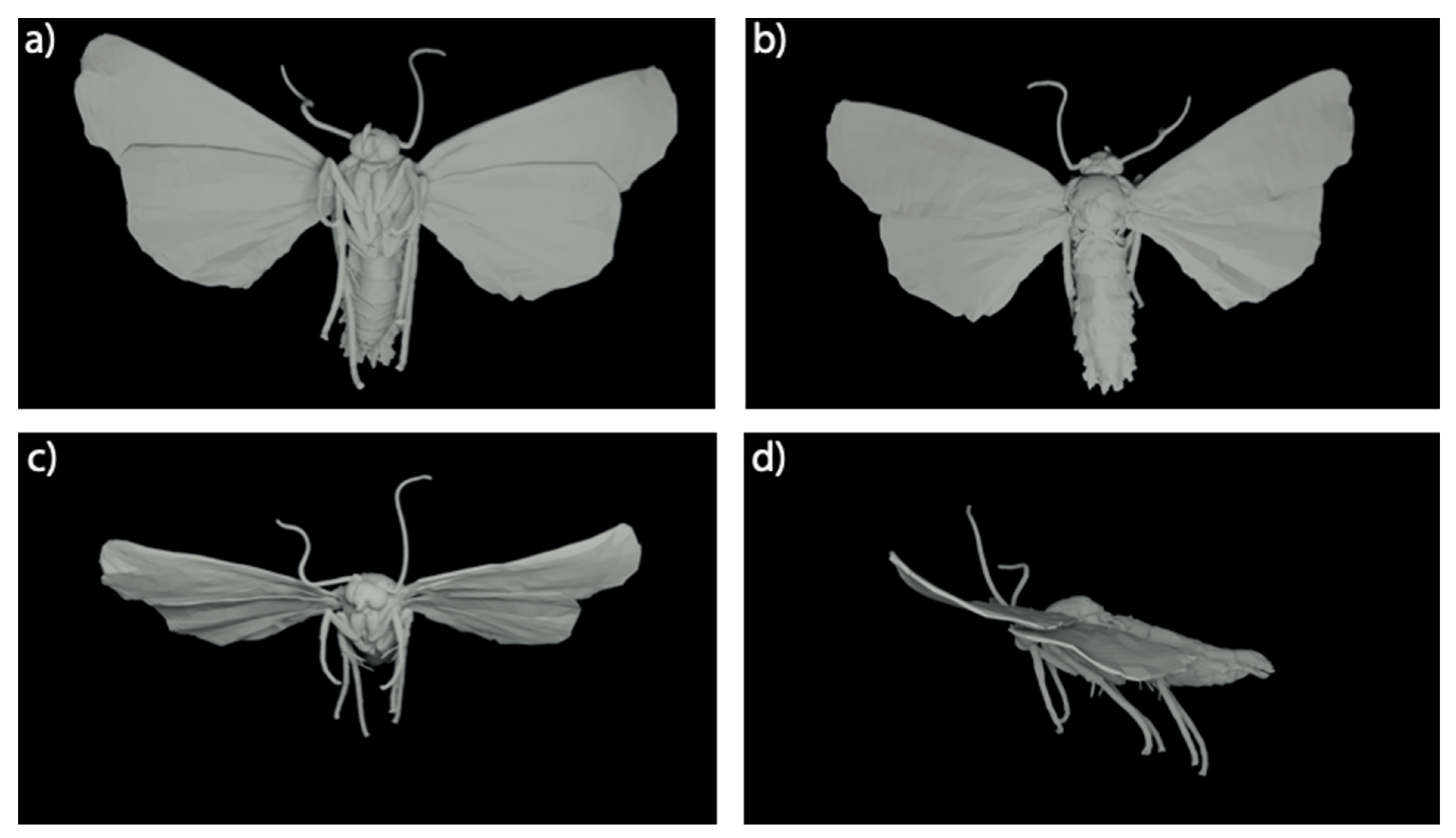 Remotesensing 14 01494 g002
