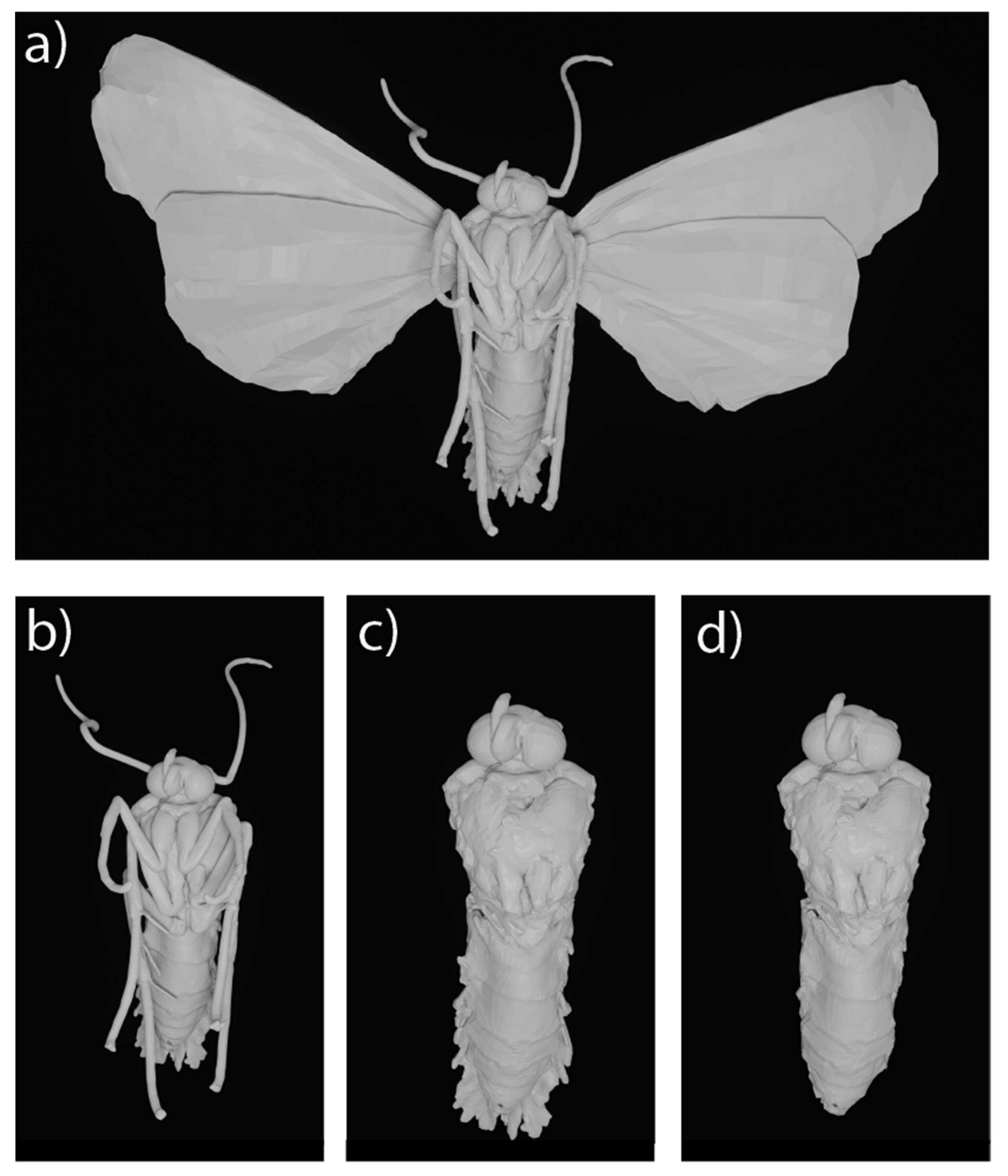 Remotesensing 14 01494 g004