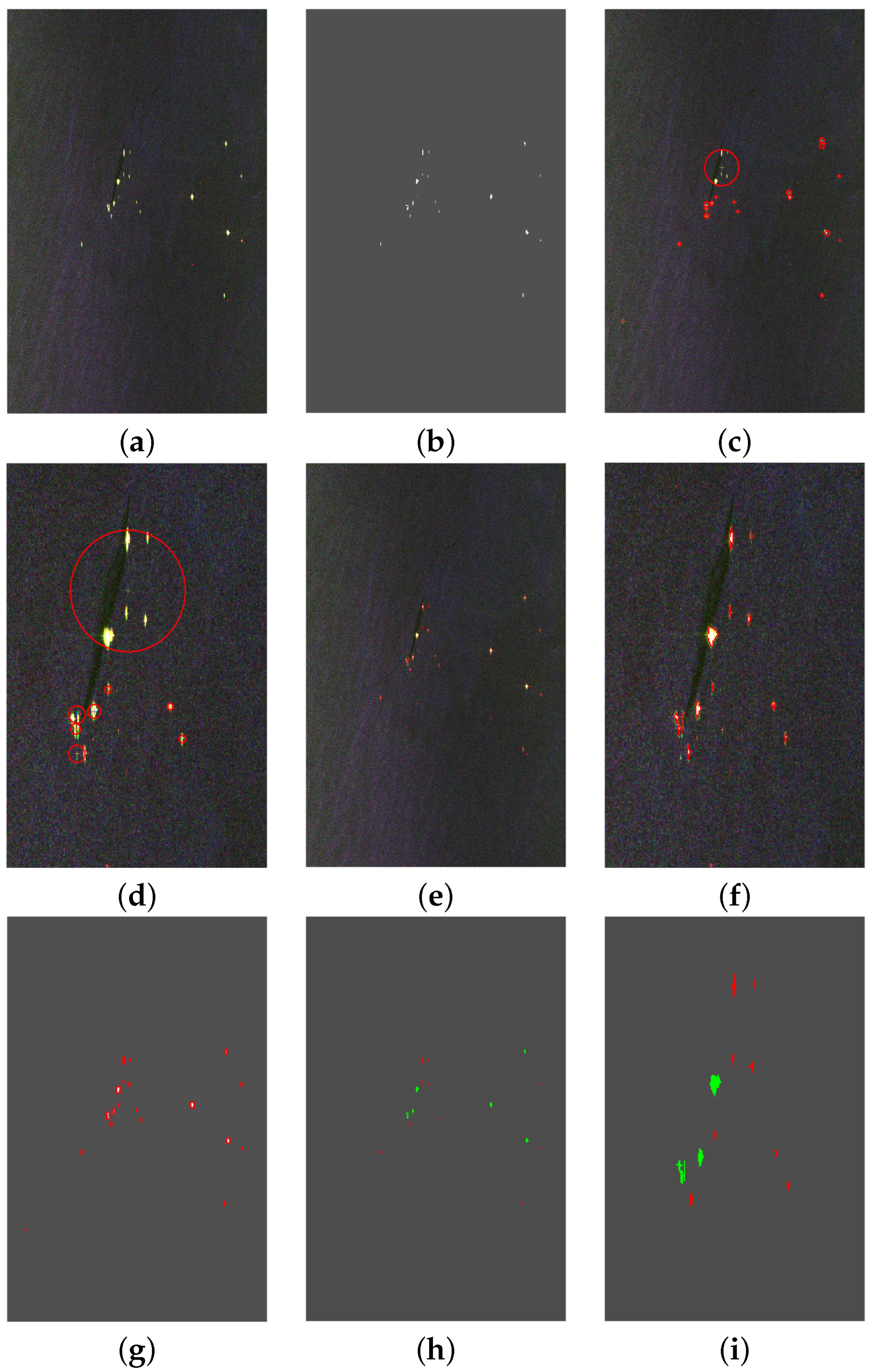 Remotesensing 14 01729 g007