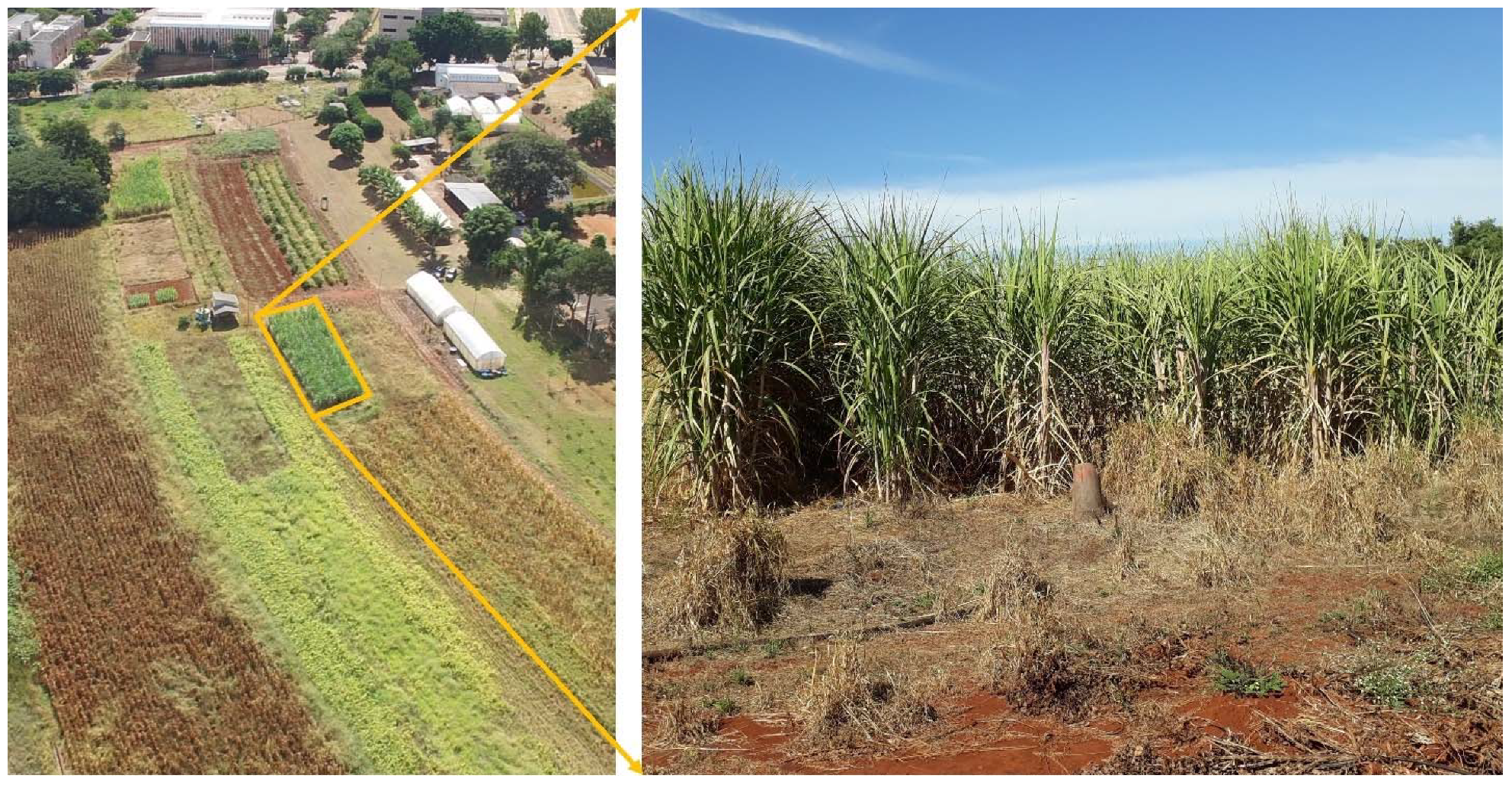 Remotesensing 14 01734 g001