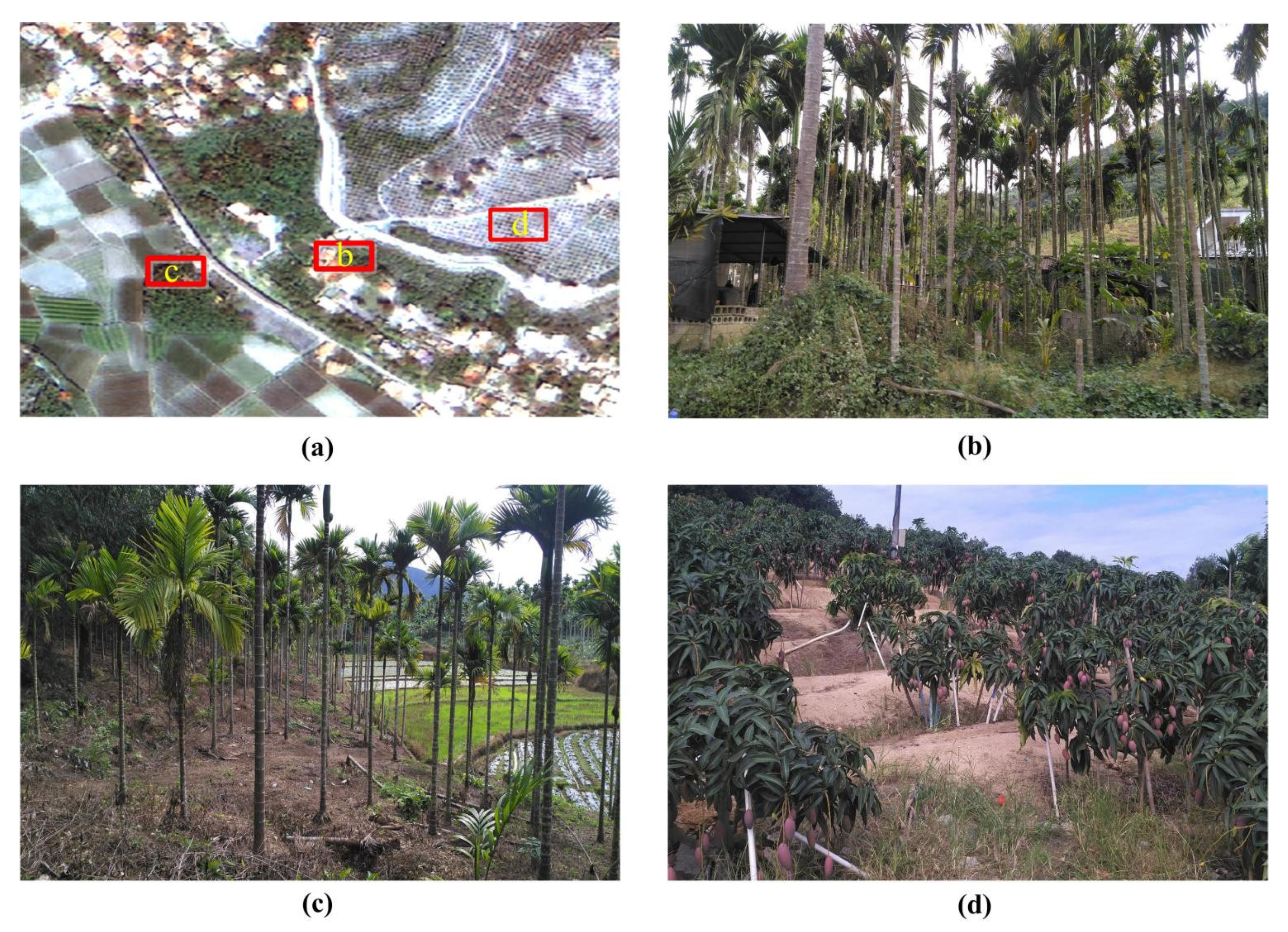 Remotesensing 14 01757 g010