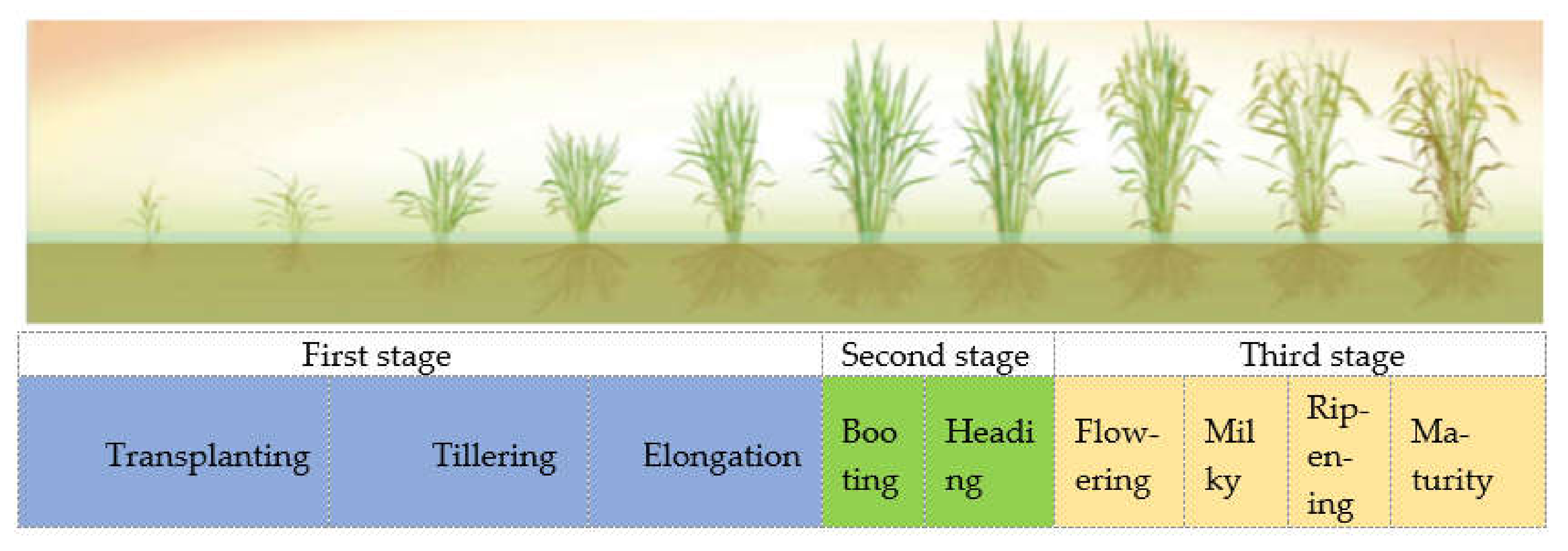 Remotesensing 14 01823 g007 Remotesensing 14 01823 g007