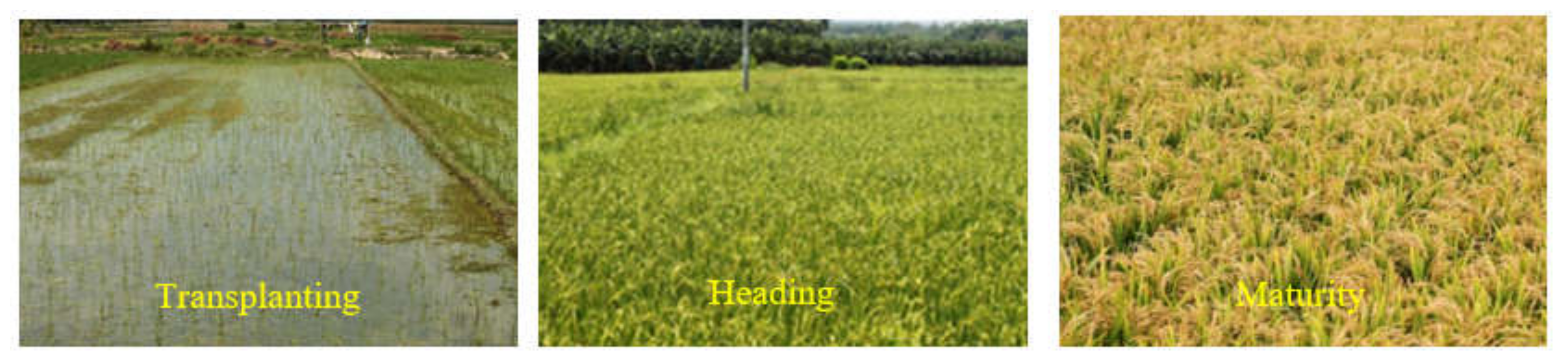 Remotesensing 14 01823 g008 Remotesensing 14 01823 g008