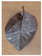 Remotesensing 14 01857 i002