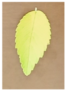 Remotesensing 14 01857 i003