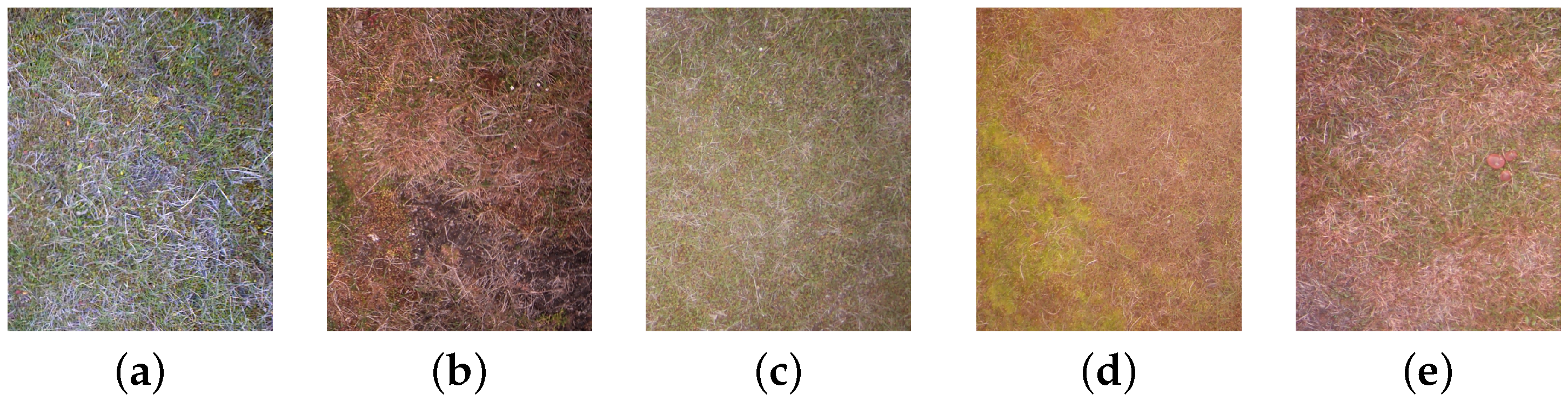 Remotesensing 14 01866 g002 Remotesensing 14 01866 g002