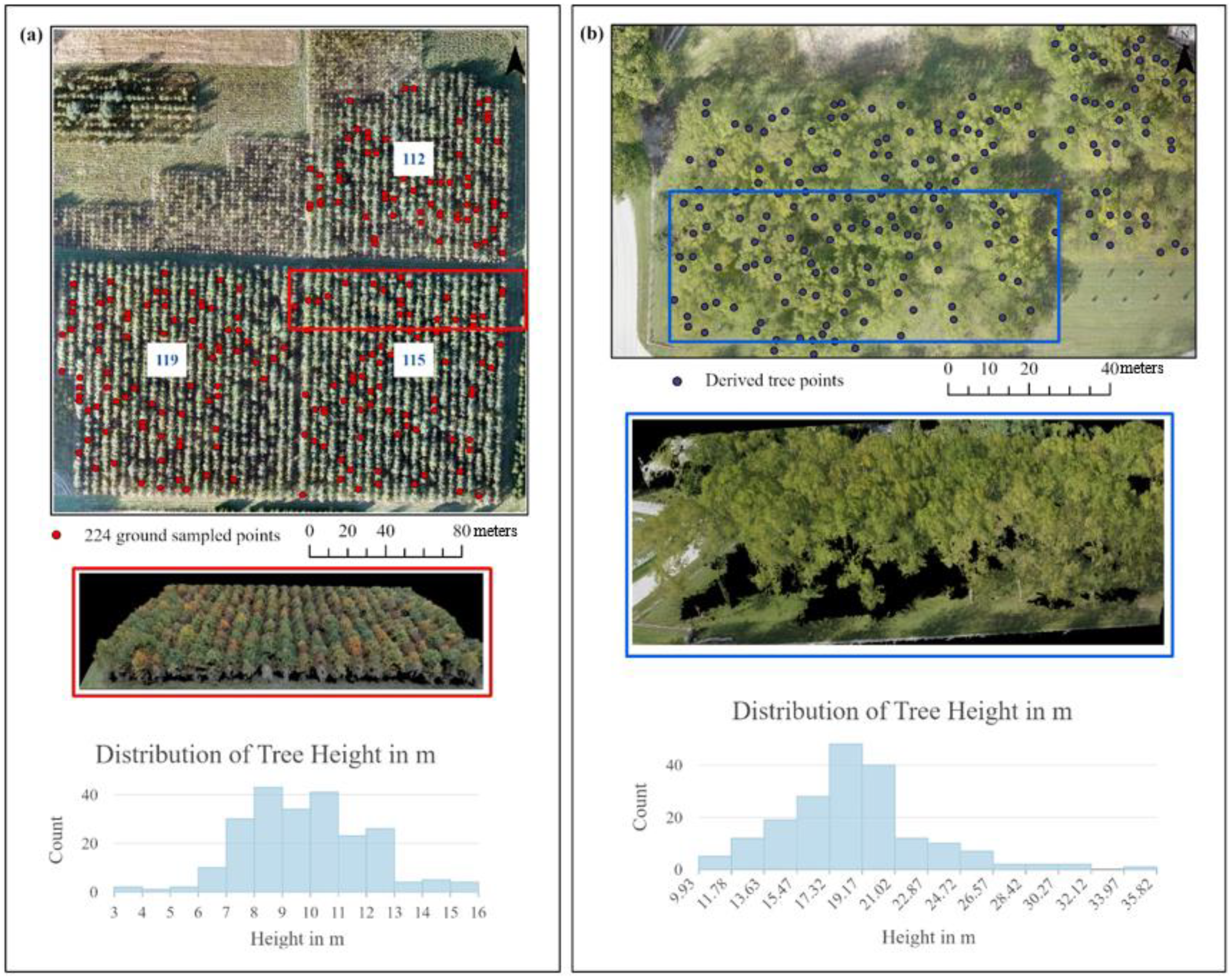 Remotesensing 14 01931 g001 Remotesensing 14 01931 g001