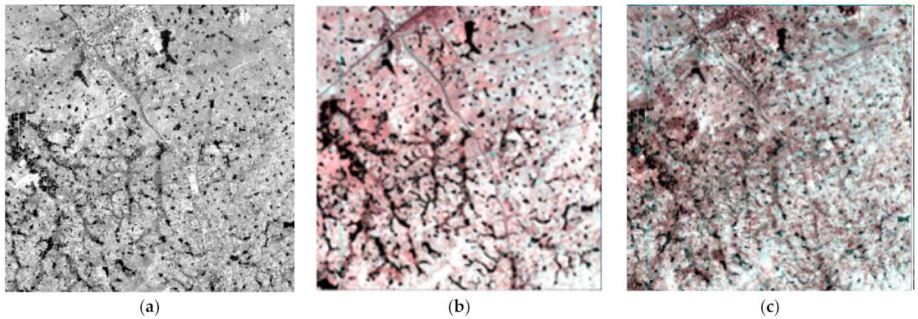 Remotesensing 14 01981 g004