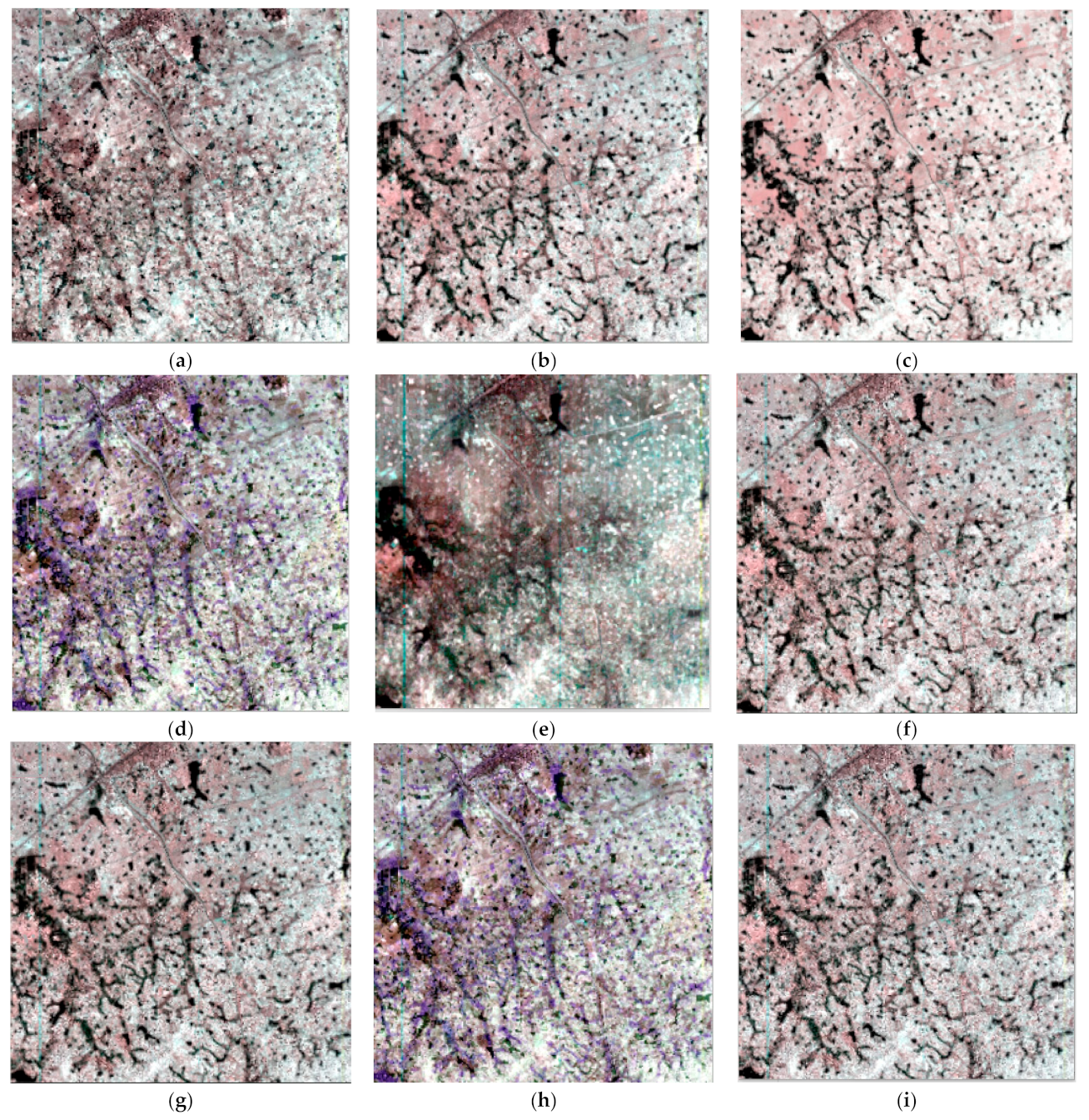 Remotesensing 14 01981 g011