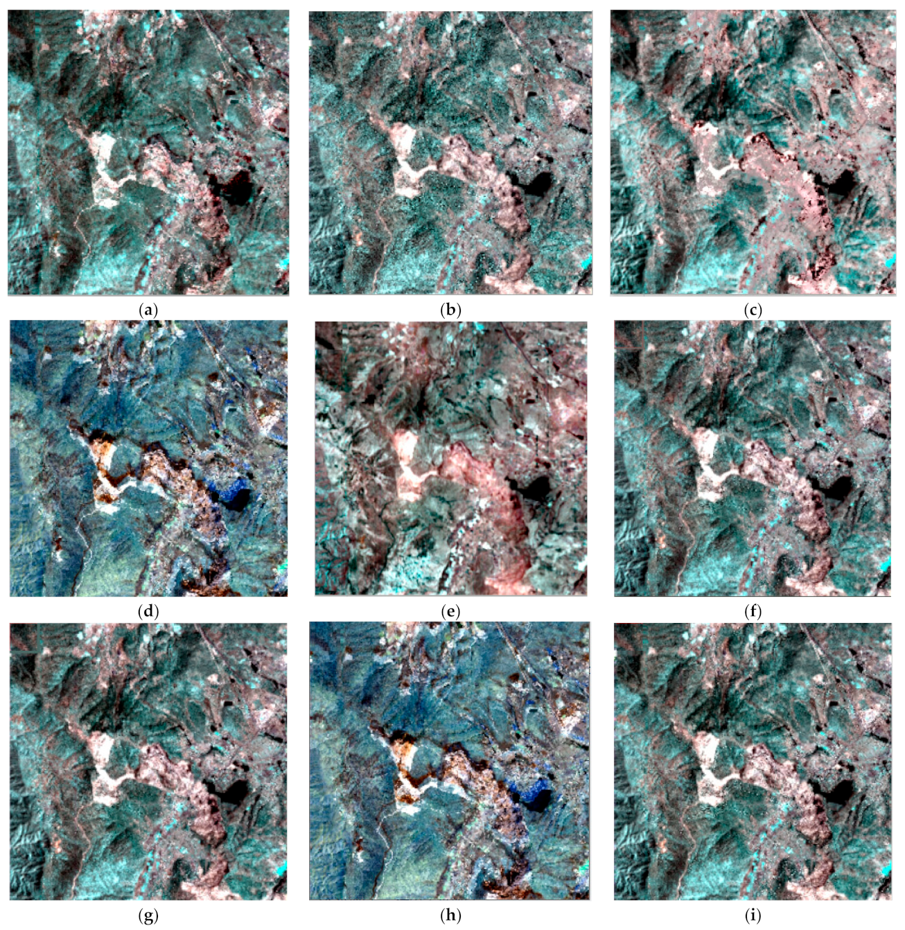 Remotesensing 14 01981 g012