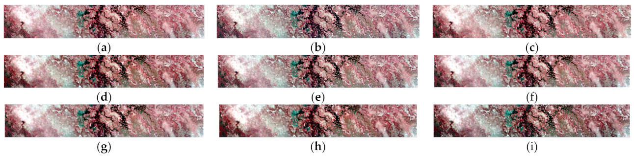 Remotesensing 14 01981 g014