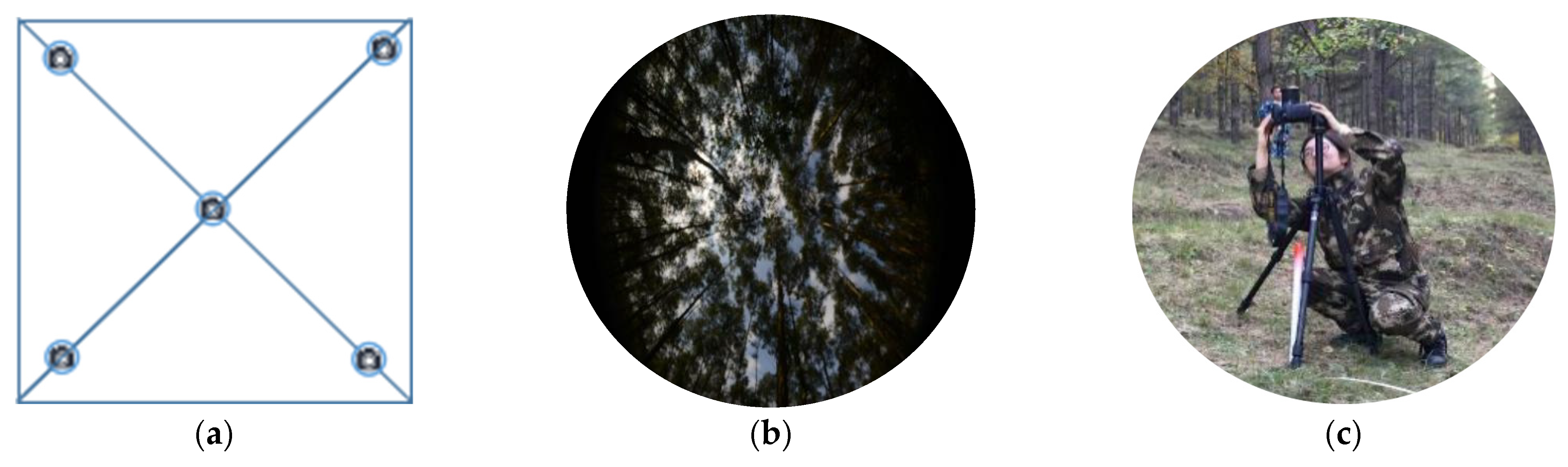 Remotesensing 14 01983 g002 Remotesensing 14 01983 g002