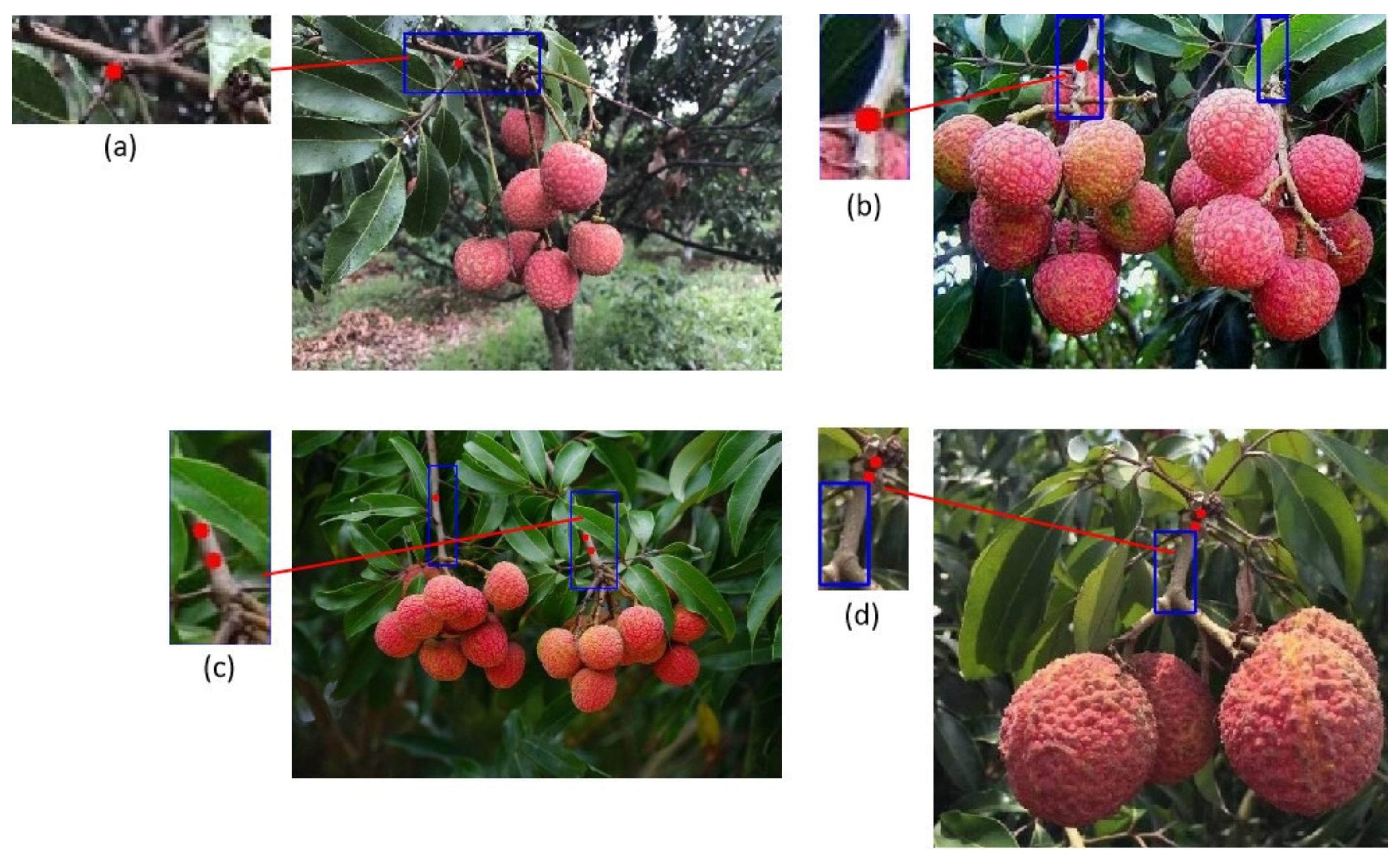 Remotesensing 14 02004 g010