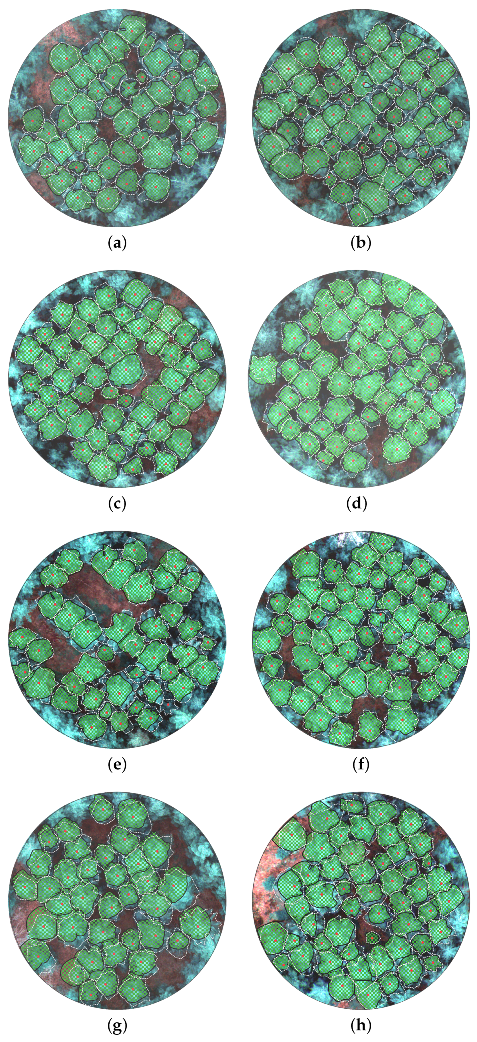 Remotesensing 14 02044 g008