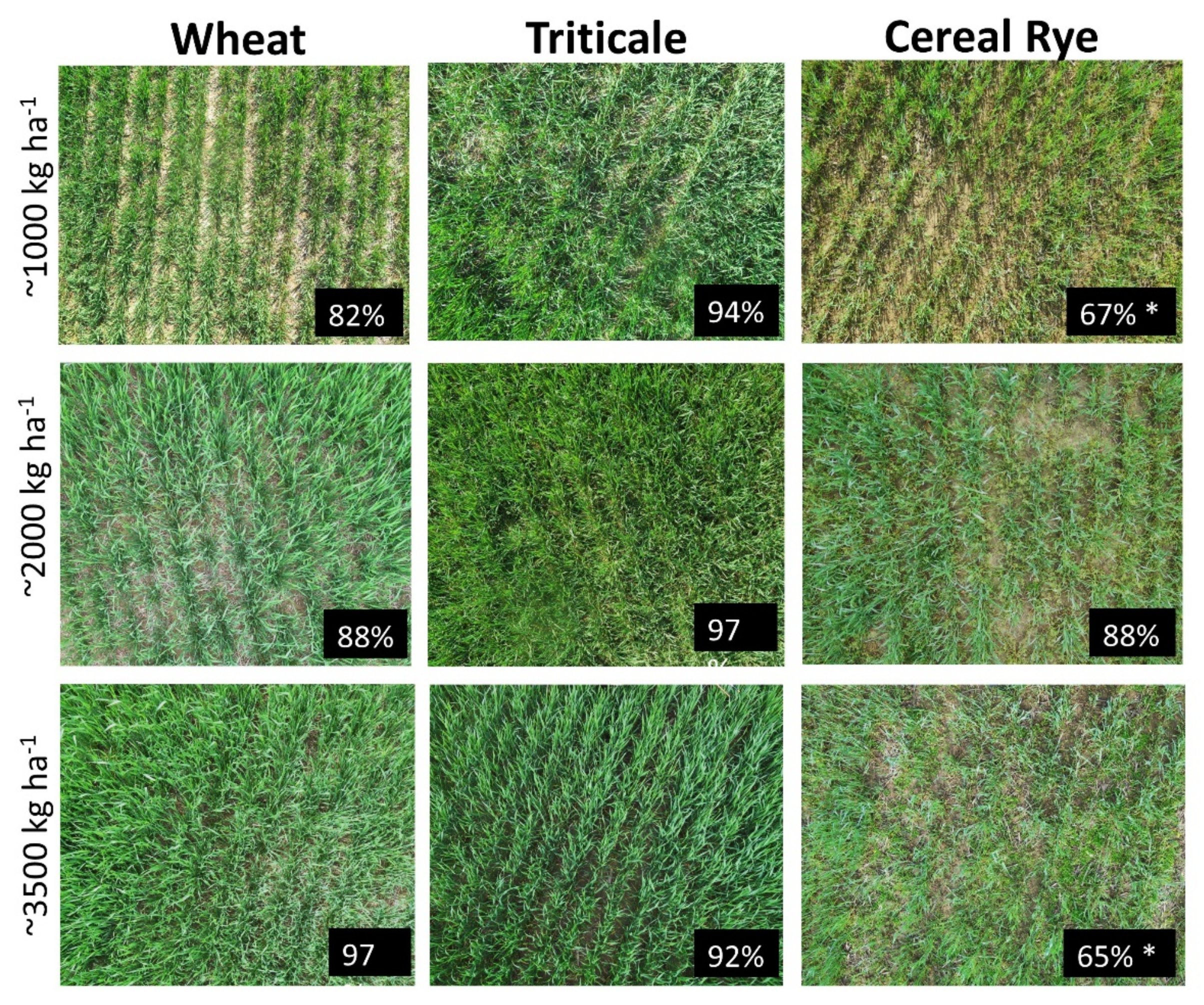 Remotesensing 14 02077 g003