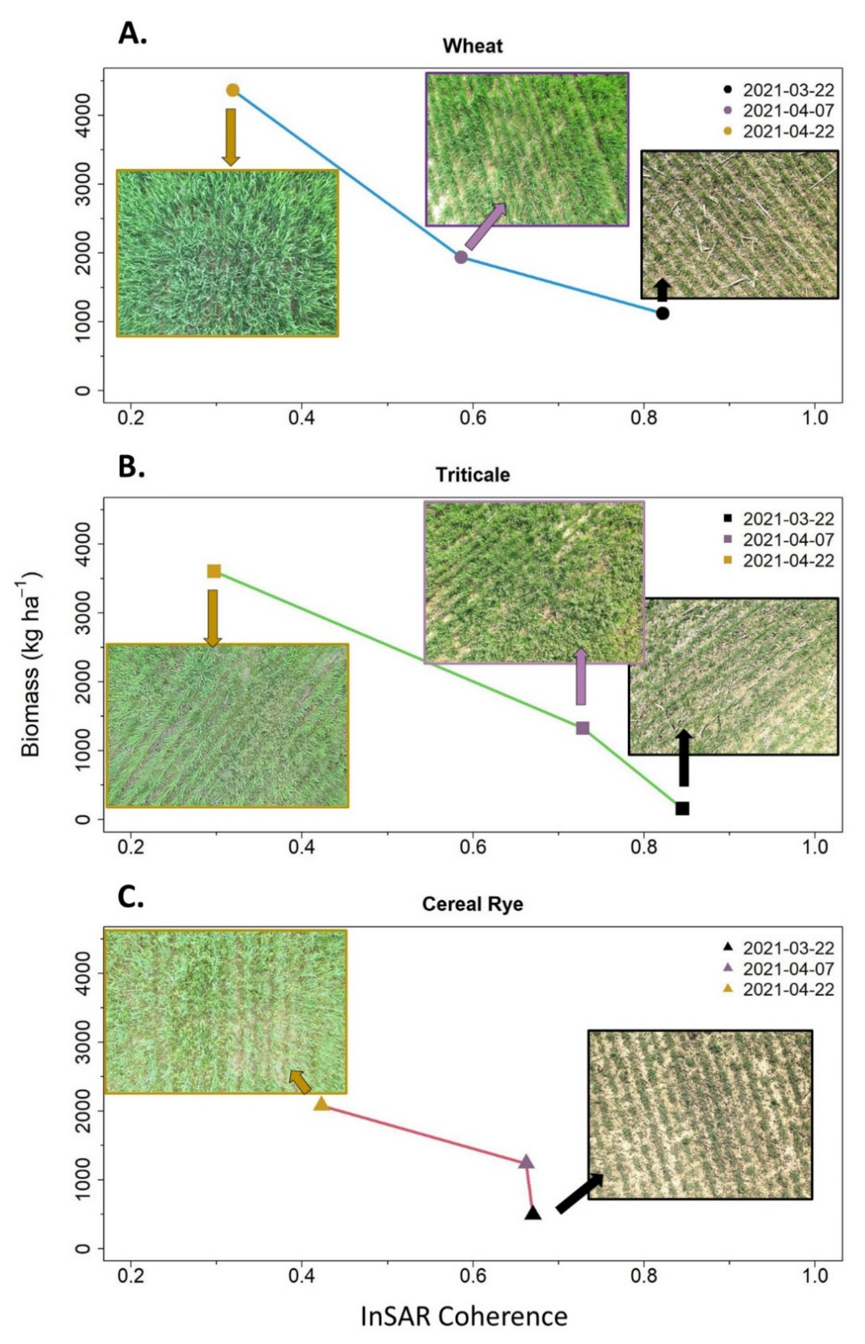 Remotesensing 14 02077 g006
