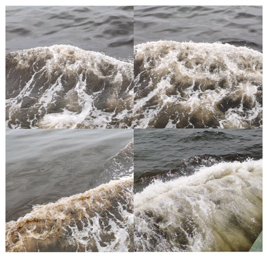 Remotesensing 14 02089 g0a1 550