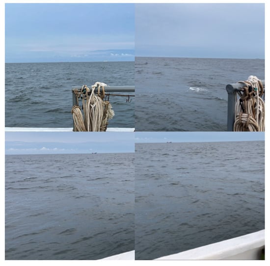 Remotesensing 14 02089 g0a2 550