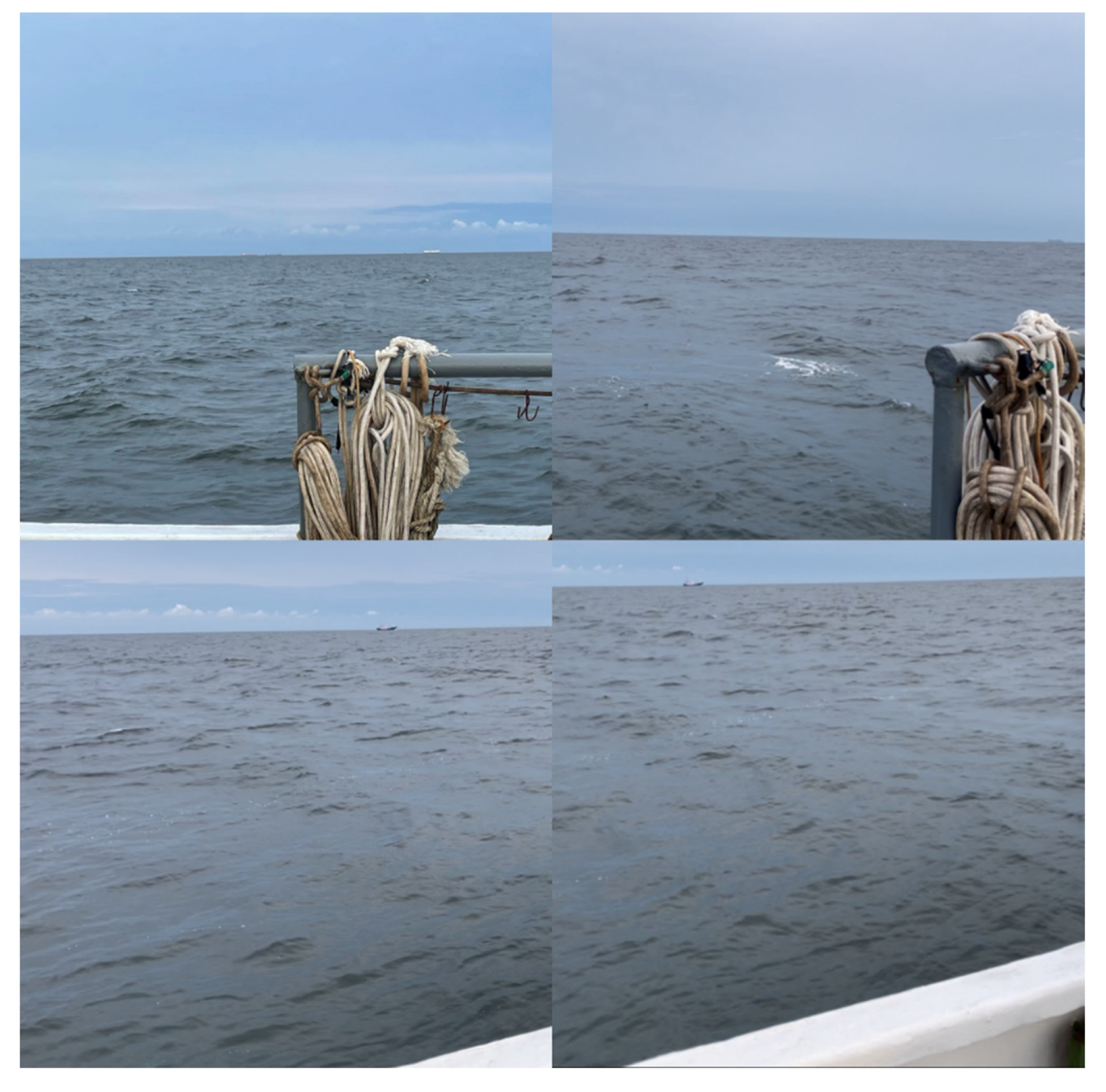 Remotesensing 14 02089 g0a2