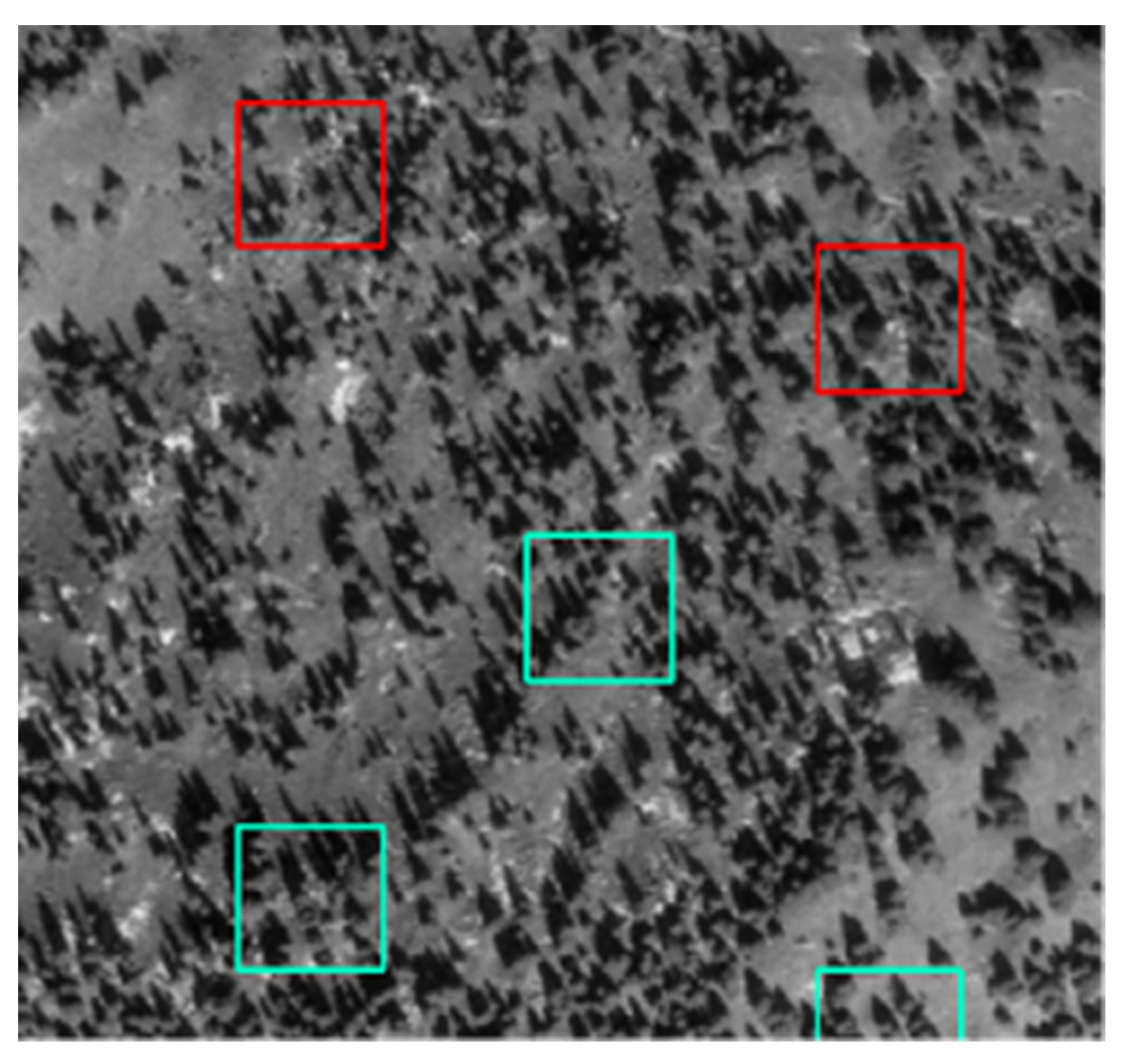 Remotesensing 14 02135 g016 Remotesensing 14 02135 g016