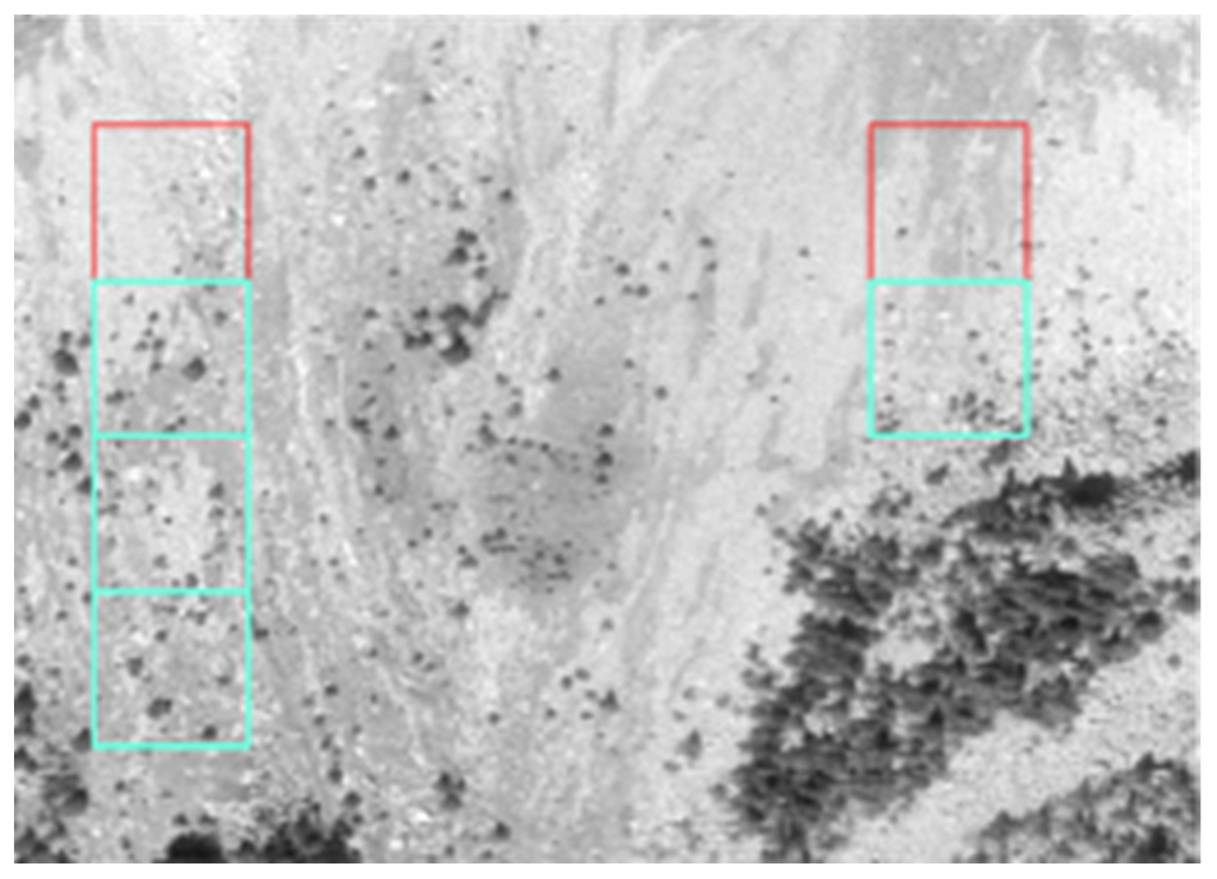 Remotesensing 14 02135 g017 Remotesensing 14 02135 g017