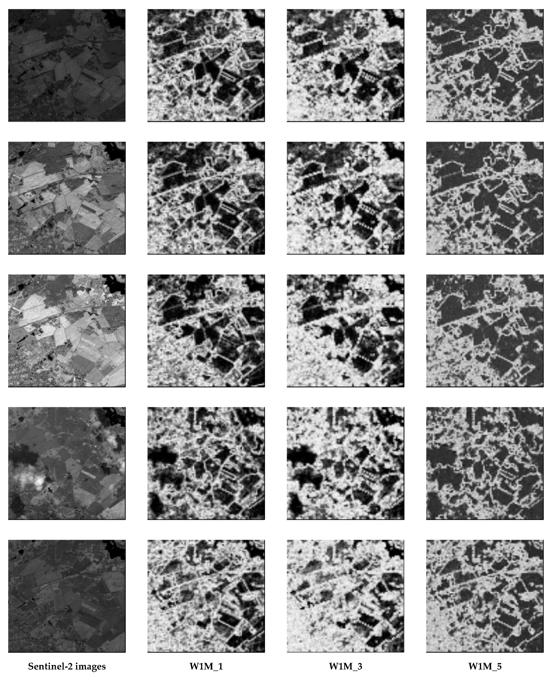 Remotesensing 14 02166 g019