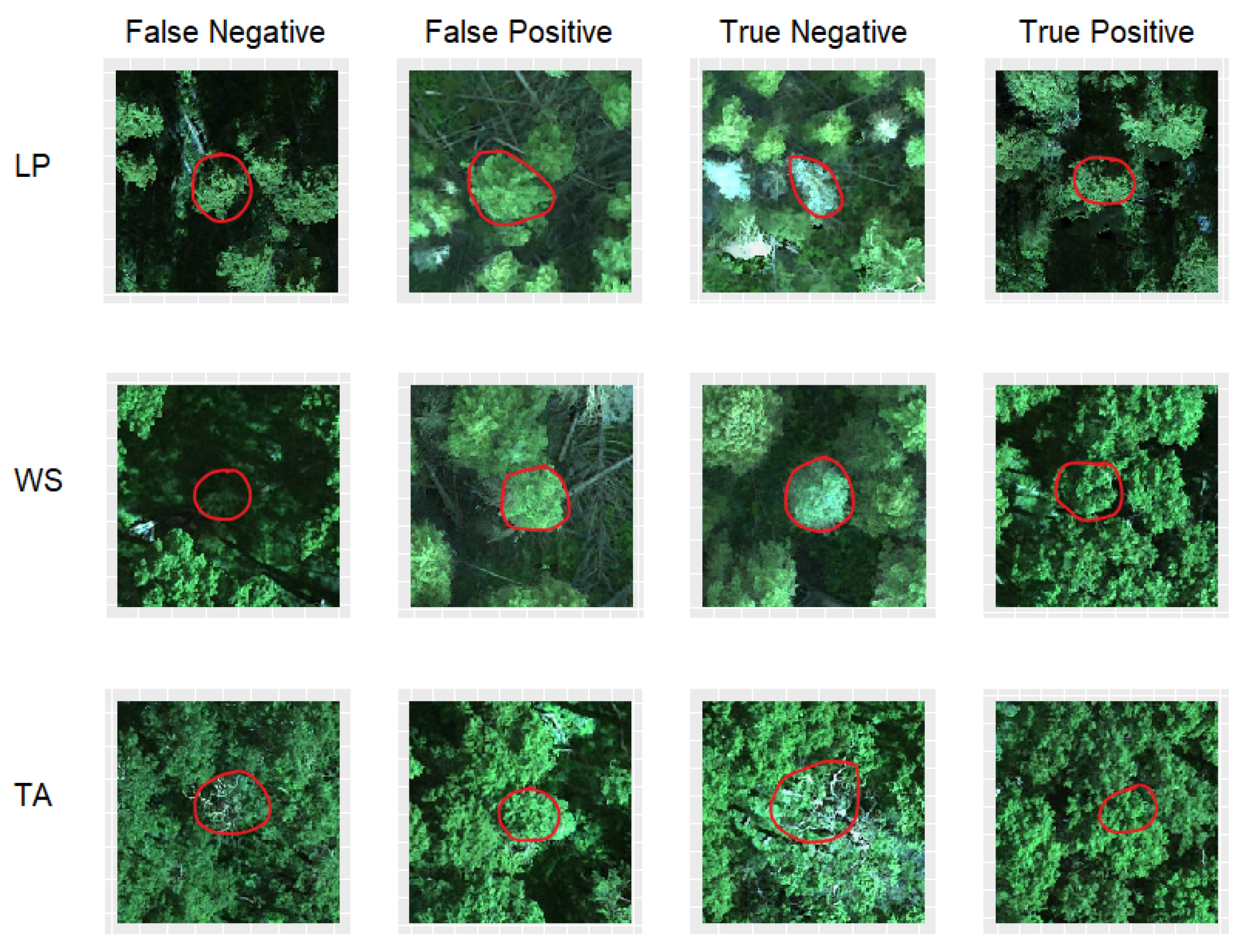 Remotesensing 14 02195 g004