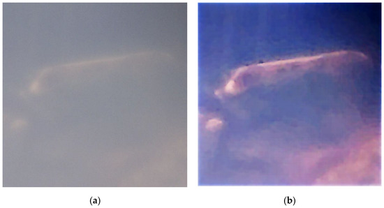 Remotesensing 14 02230 g0a3a 550