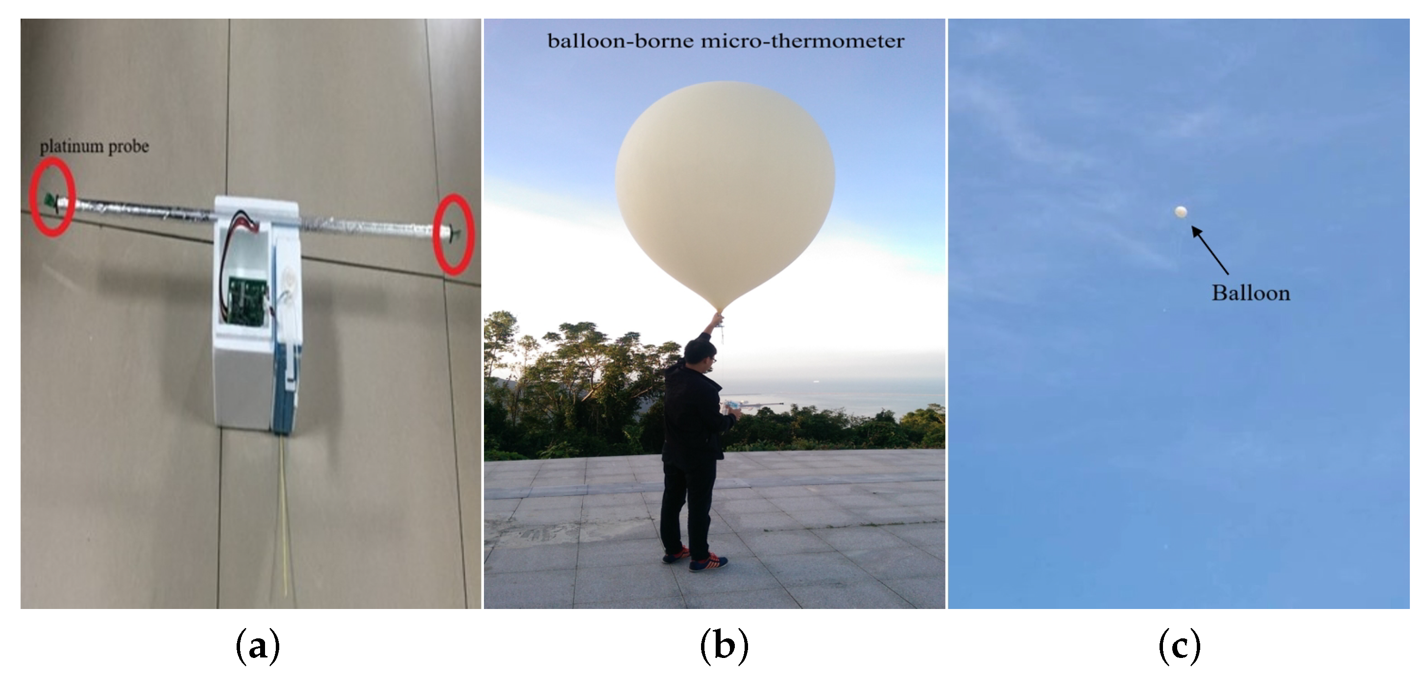 Remotesensing 14 02267 g006