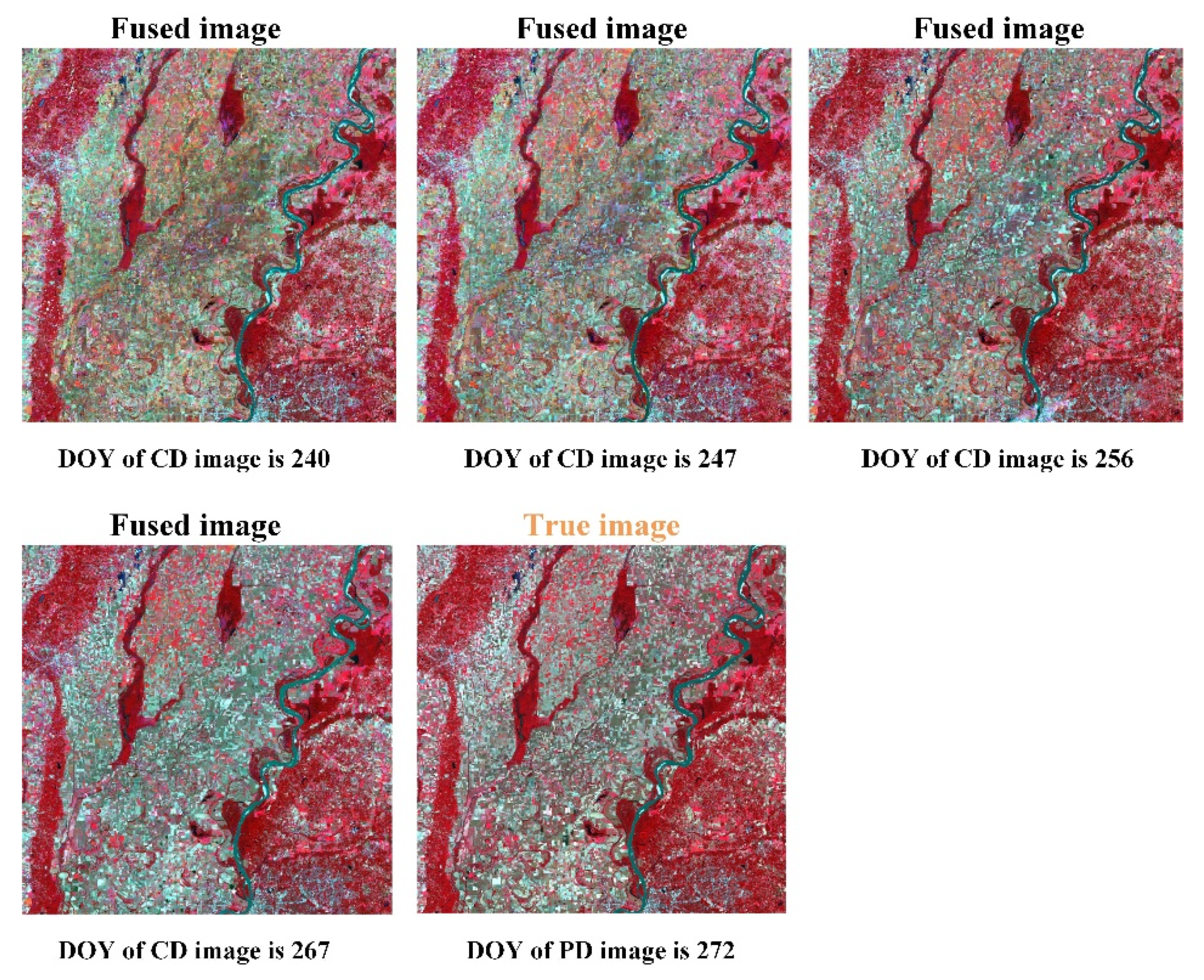 Remotesensing 14 02431 g010