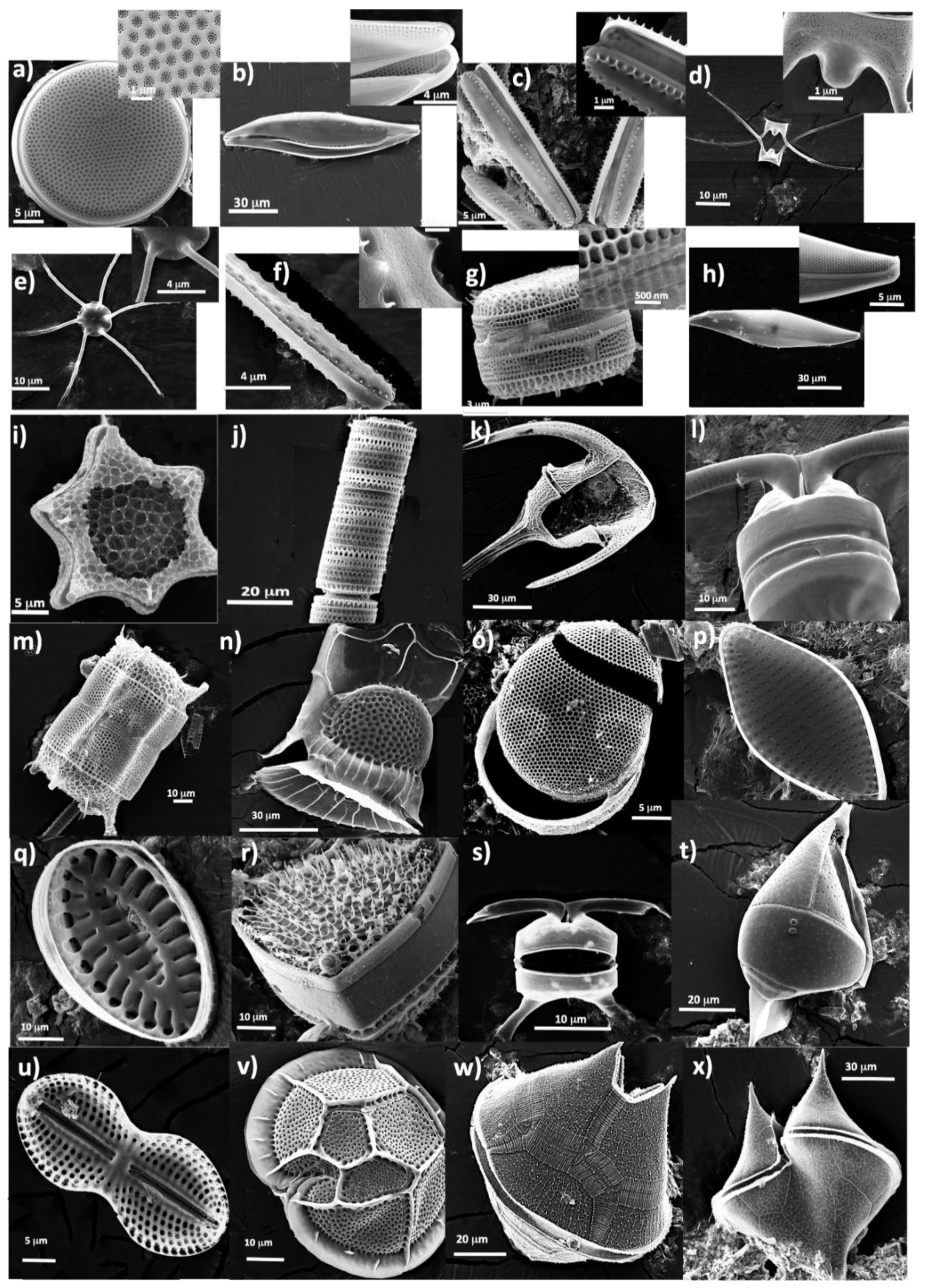 Remotesensing 14 02457 g007 Remotesensing 14 02457 g007