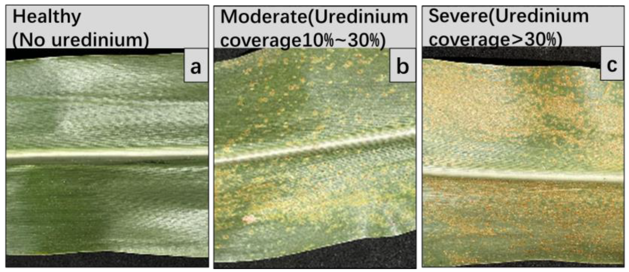 Remotesensing 14 02551 g004
