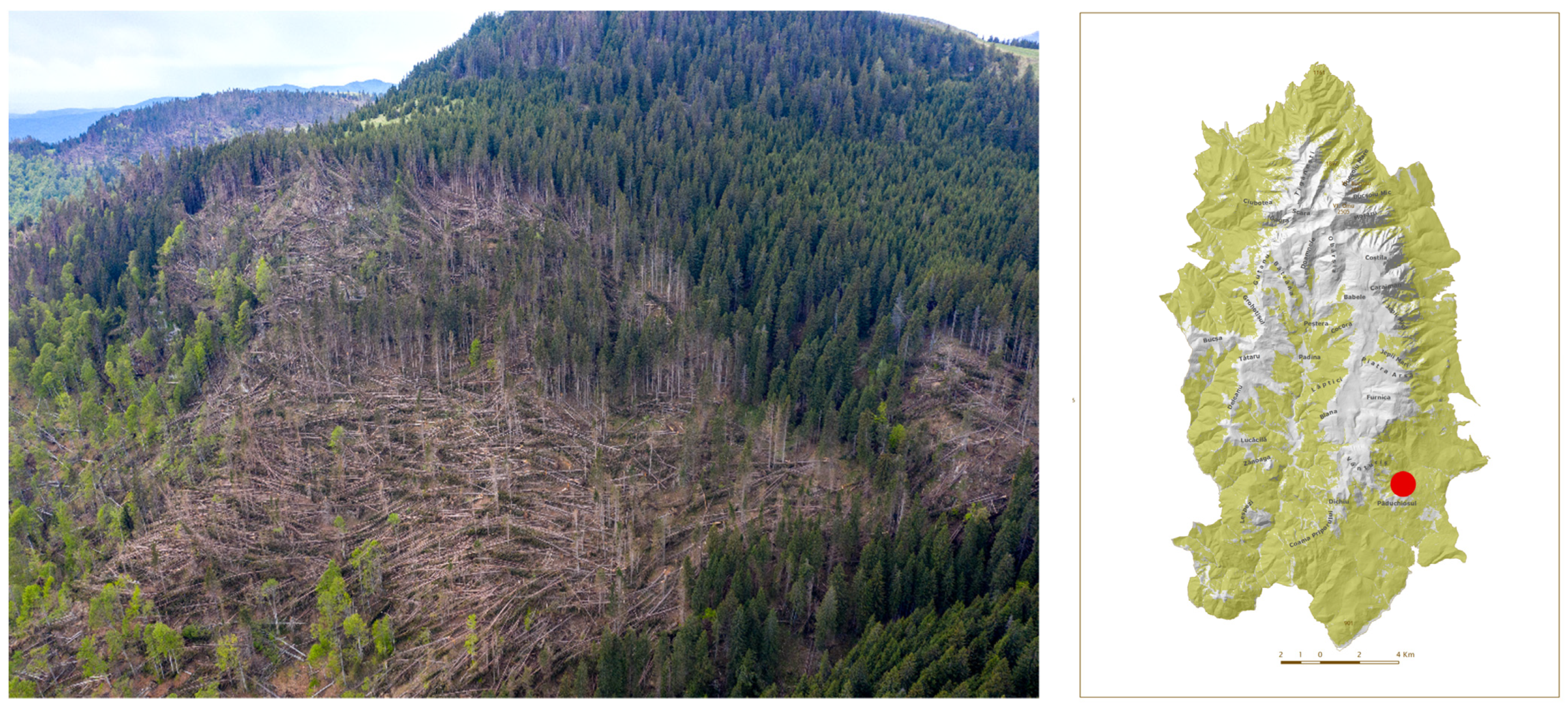 Remotesensing 14 02593 g007