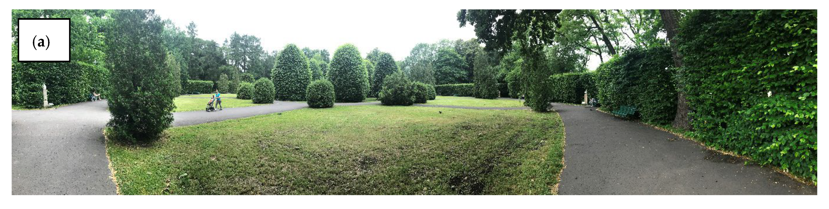 Remotesensing 14 02615 g004a