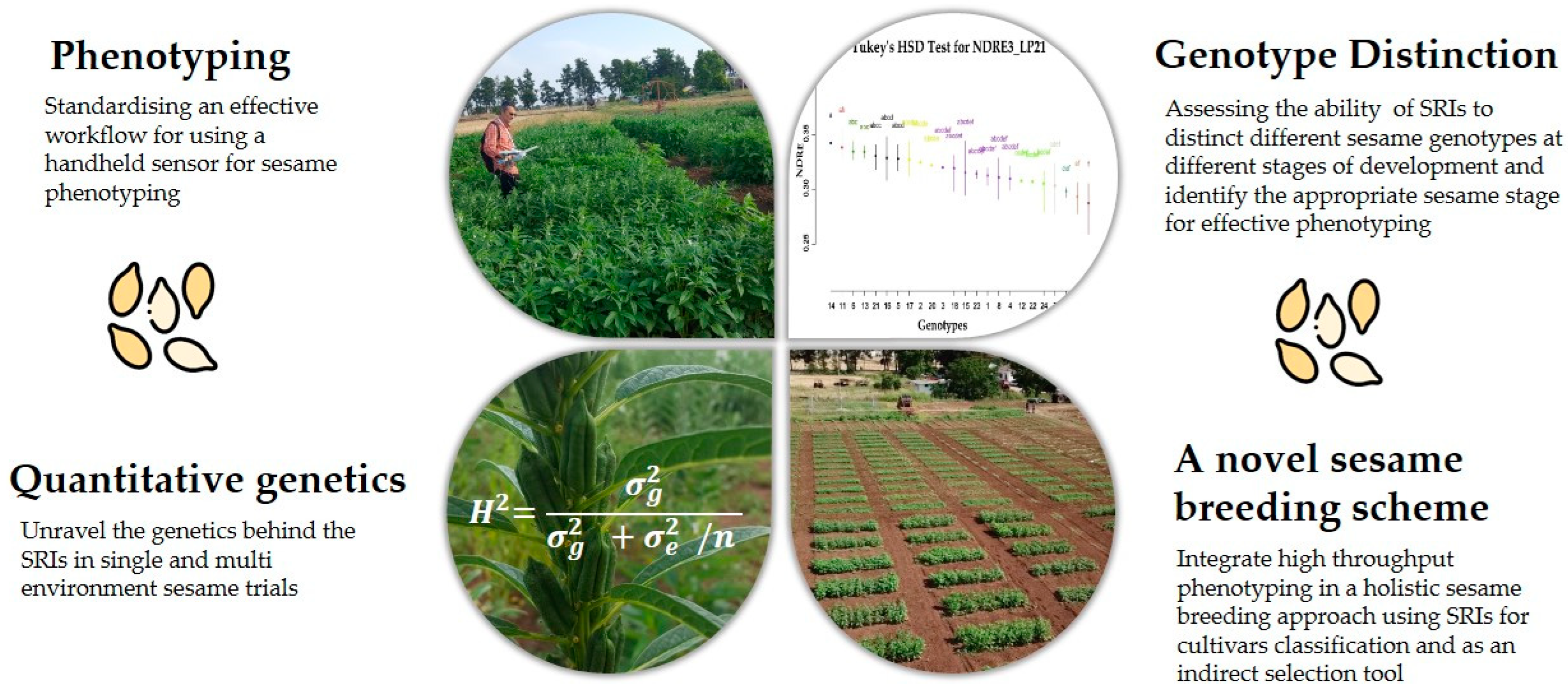 Remotesensing 14 02629 g001