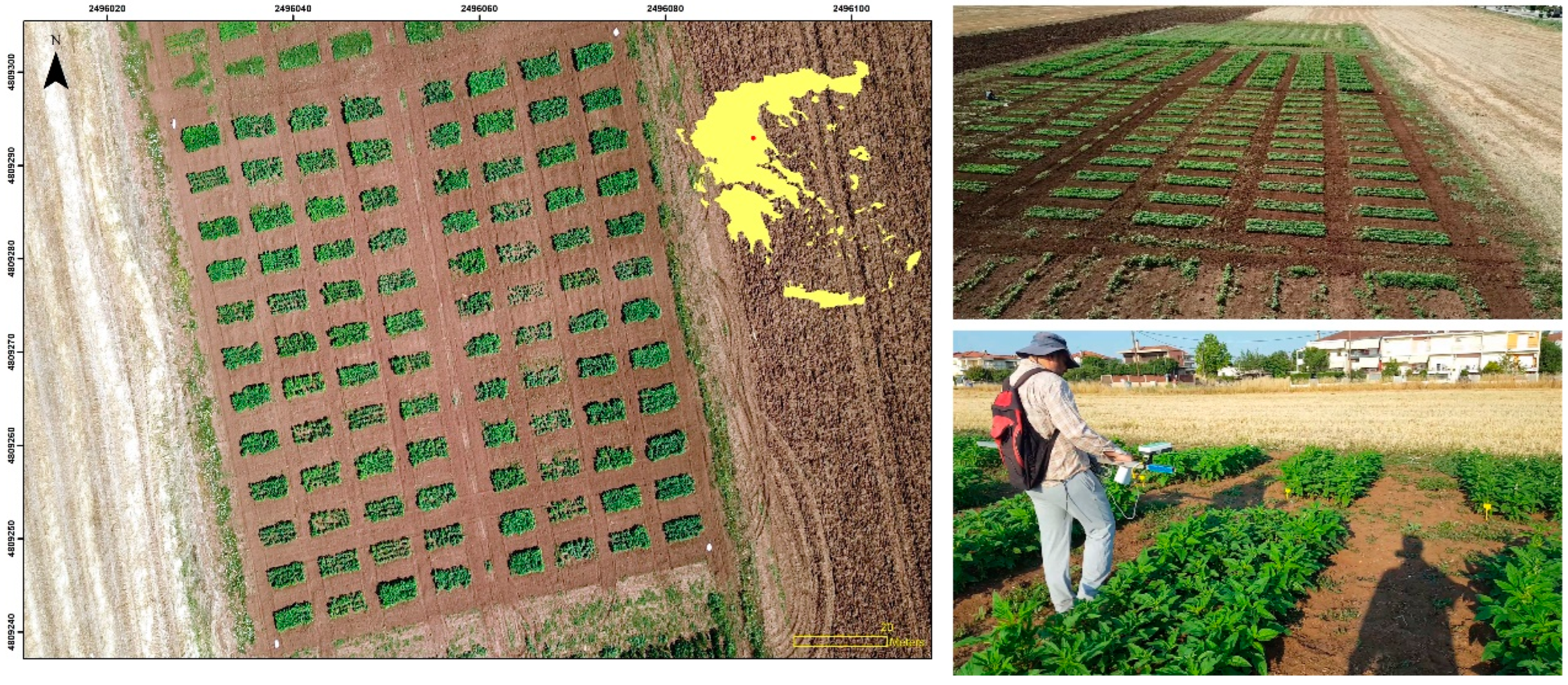 Remotesensing 14 02629 g002