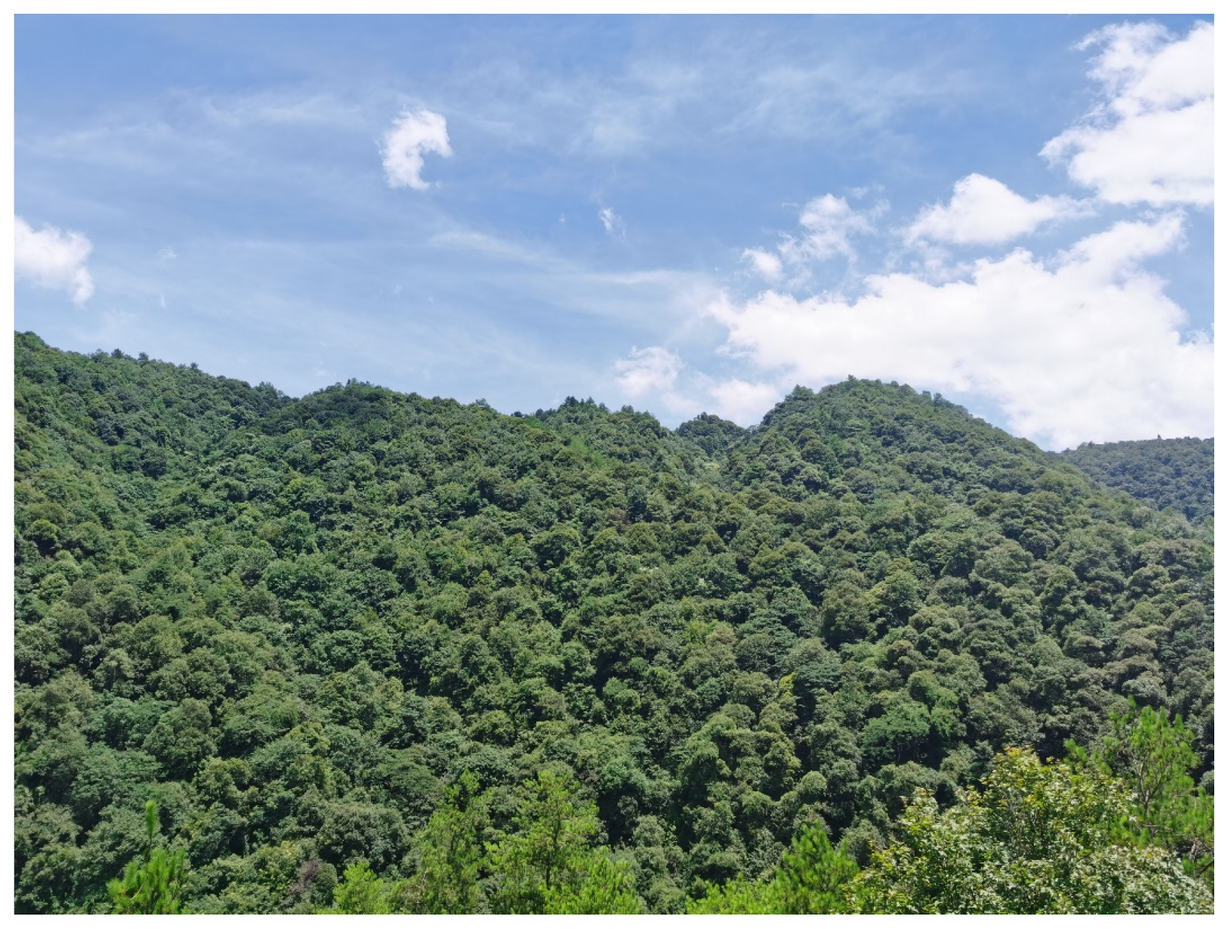 Remotesensing 14 02672 g002