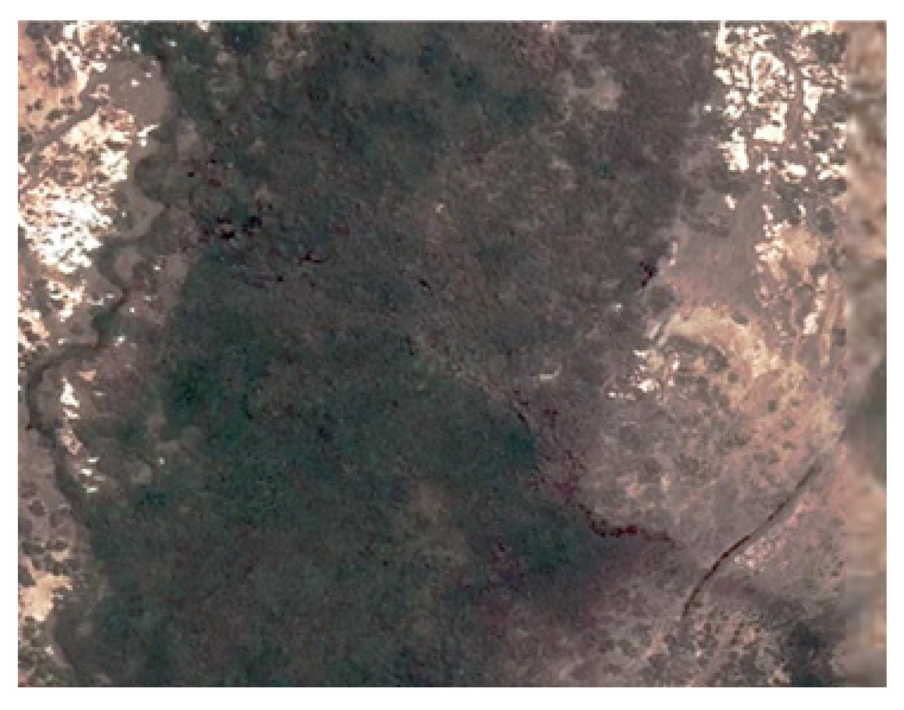 Remotesensing 14 02697 i006