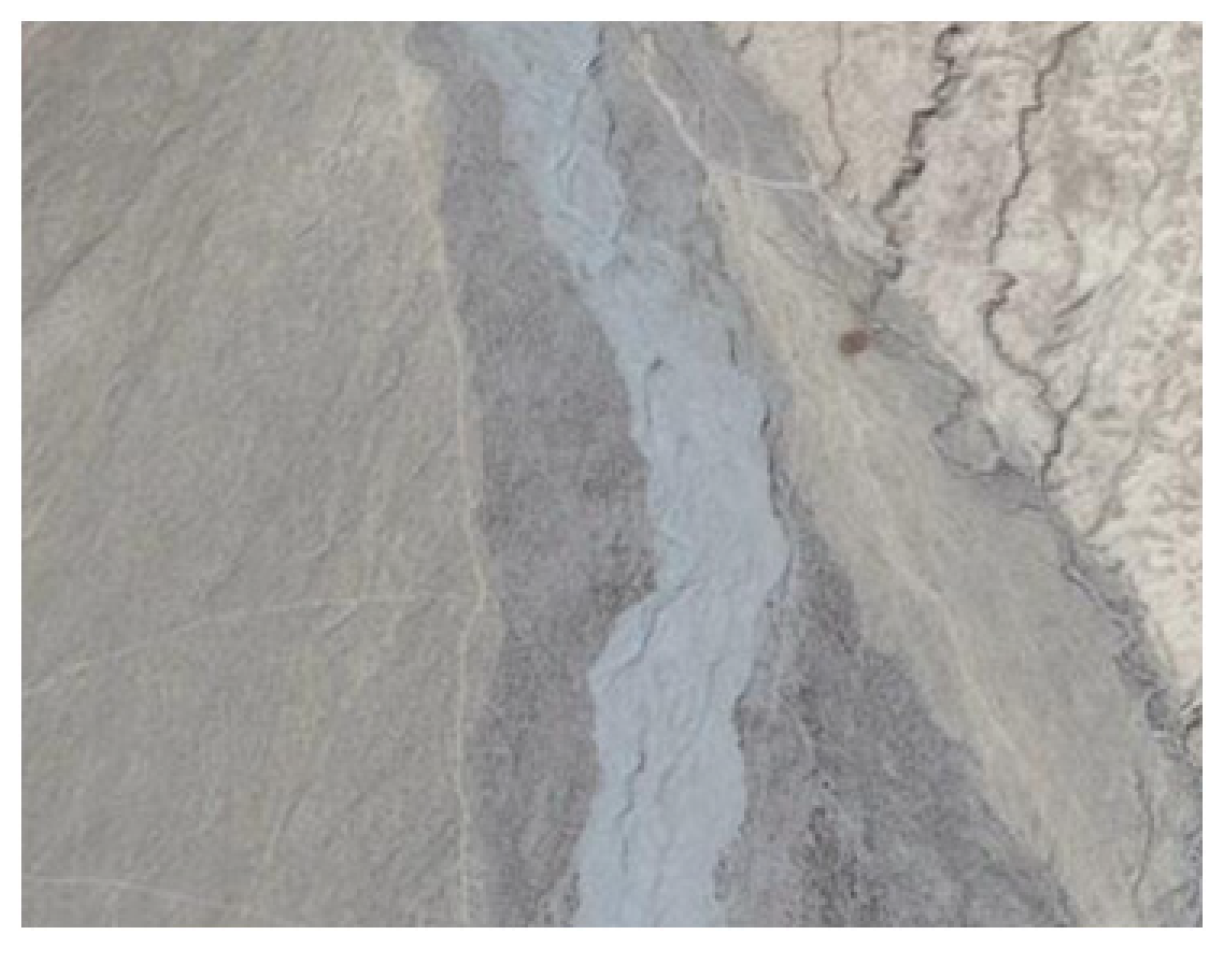 Remotesensing 14 02697 i008